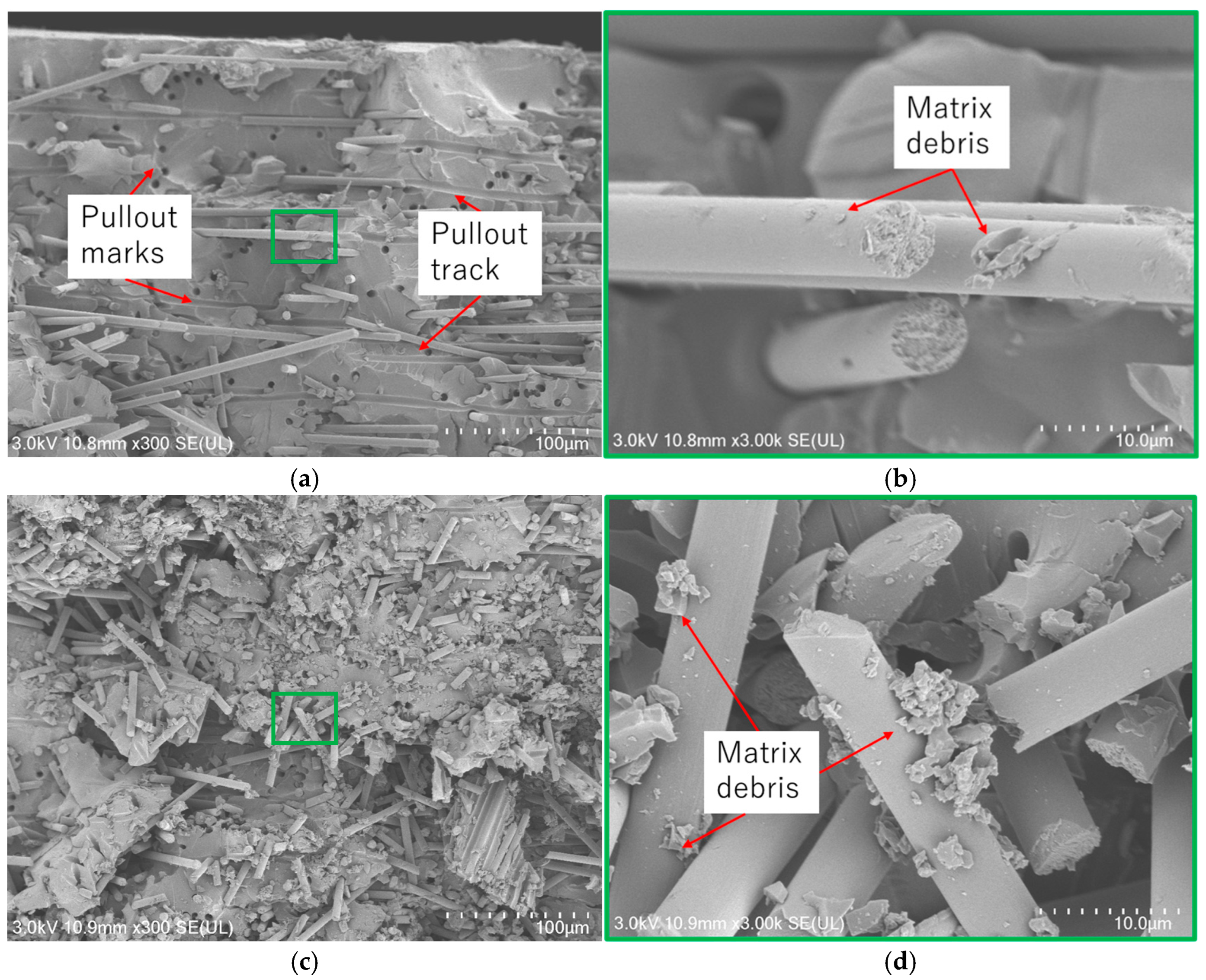 Polymers 17 01293 g012
