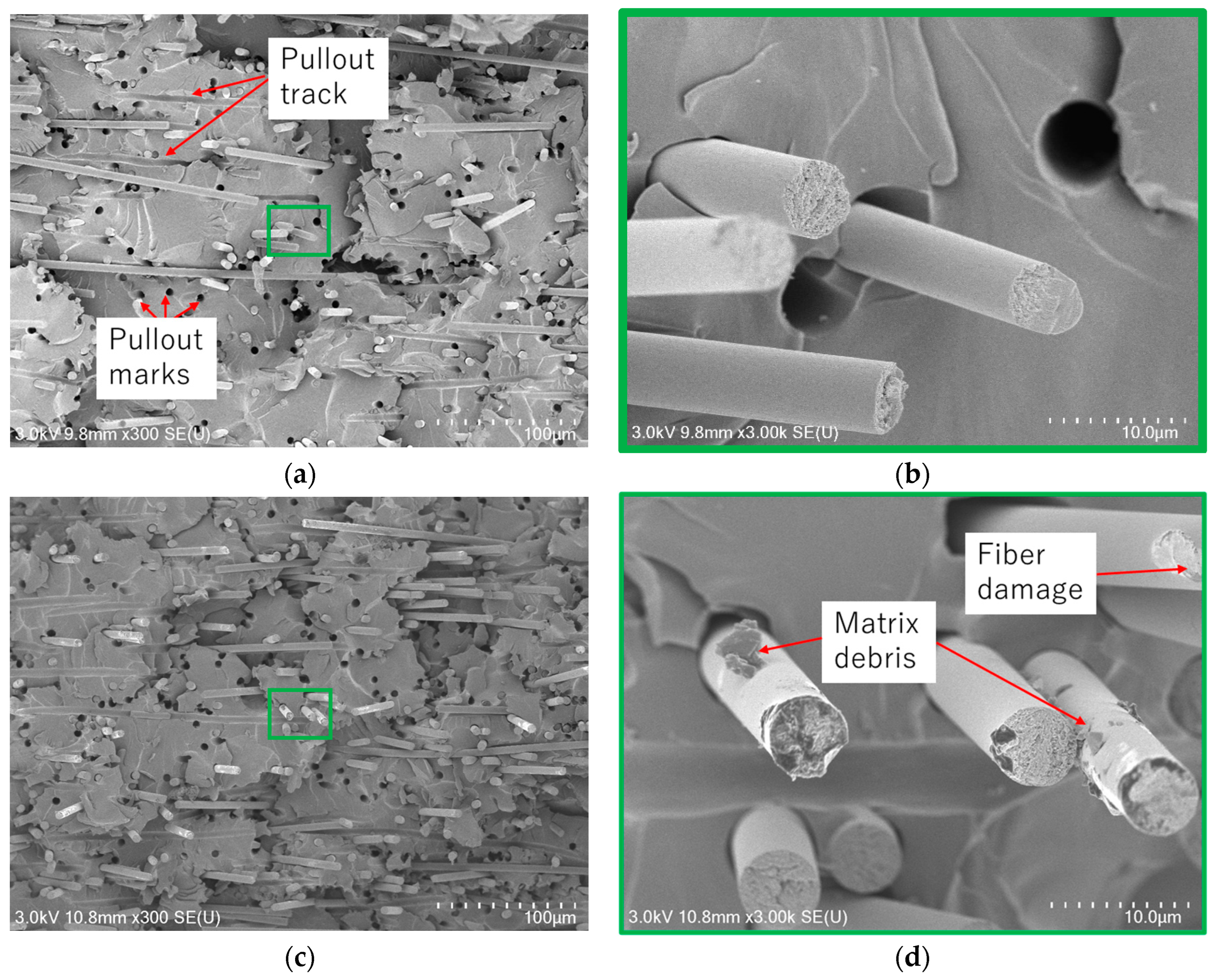 Polymers 17 01293 g013
