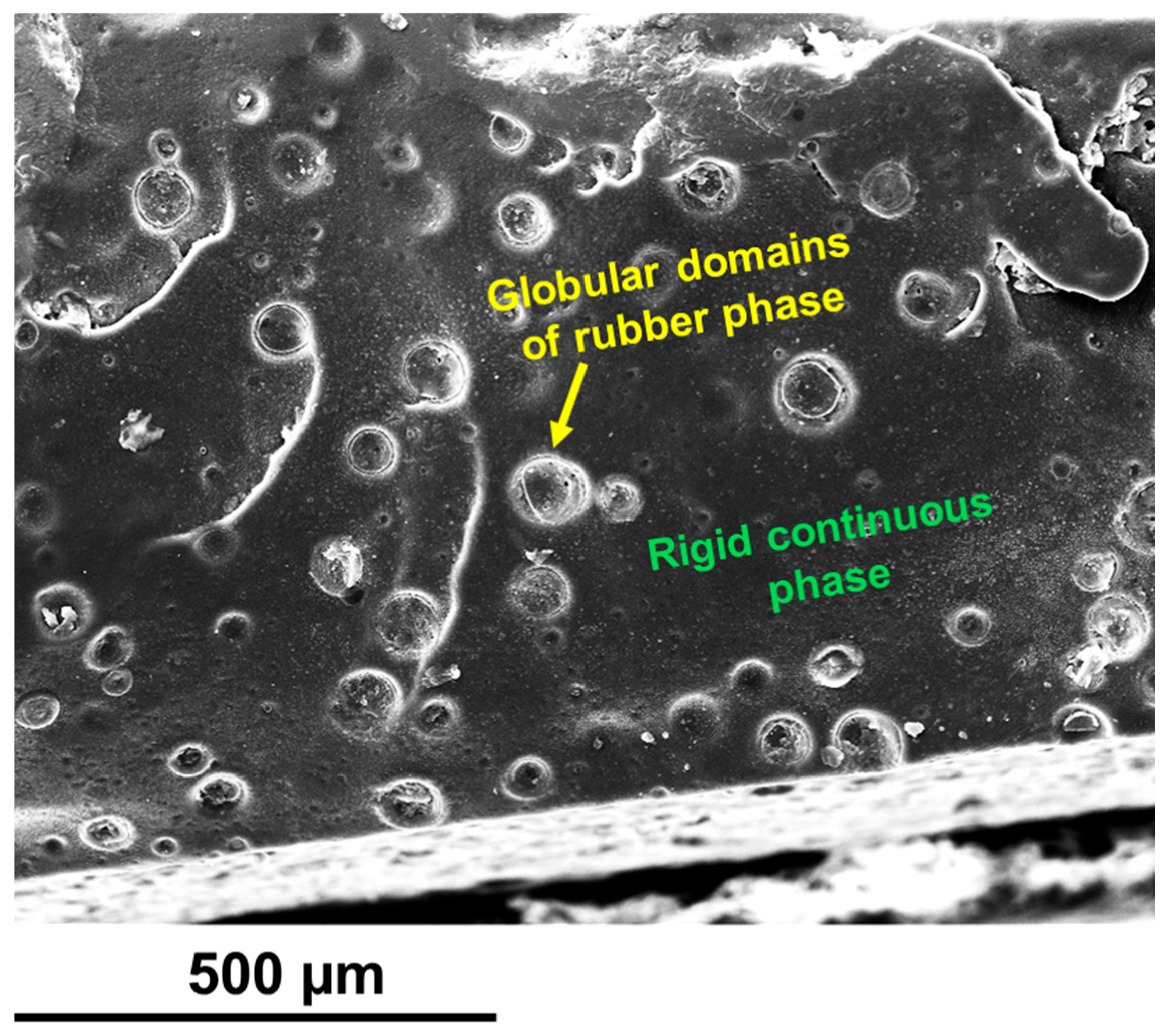 Polymers 17 01294 g010