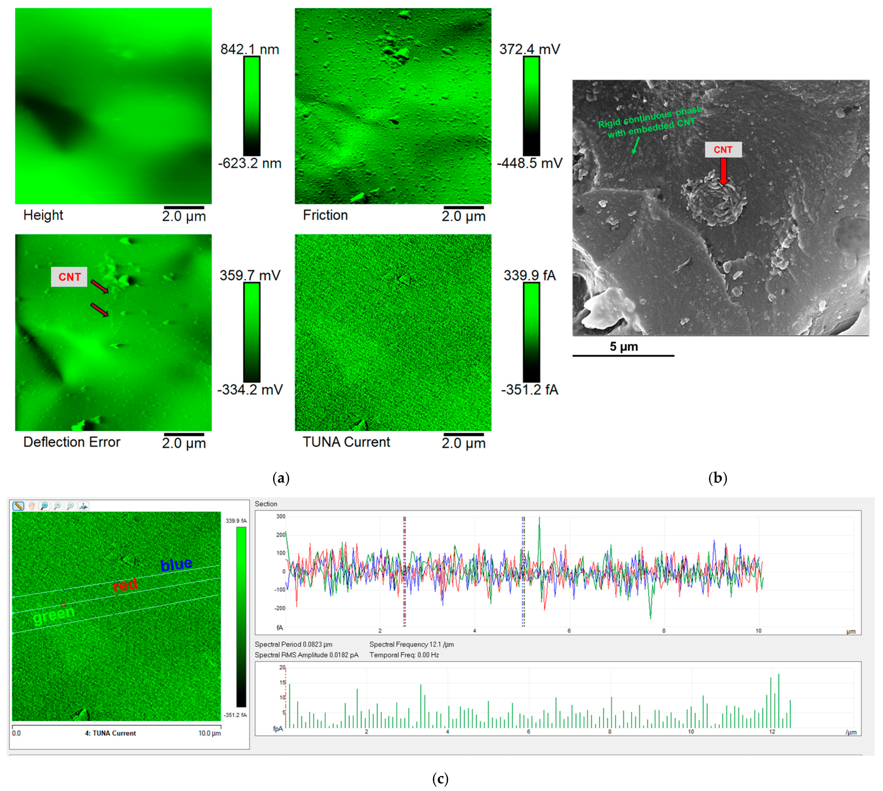 Polymers 17 01294 g012