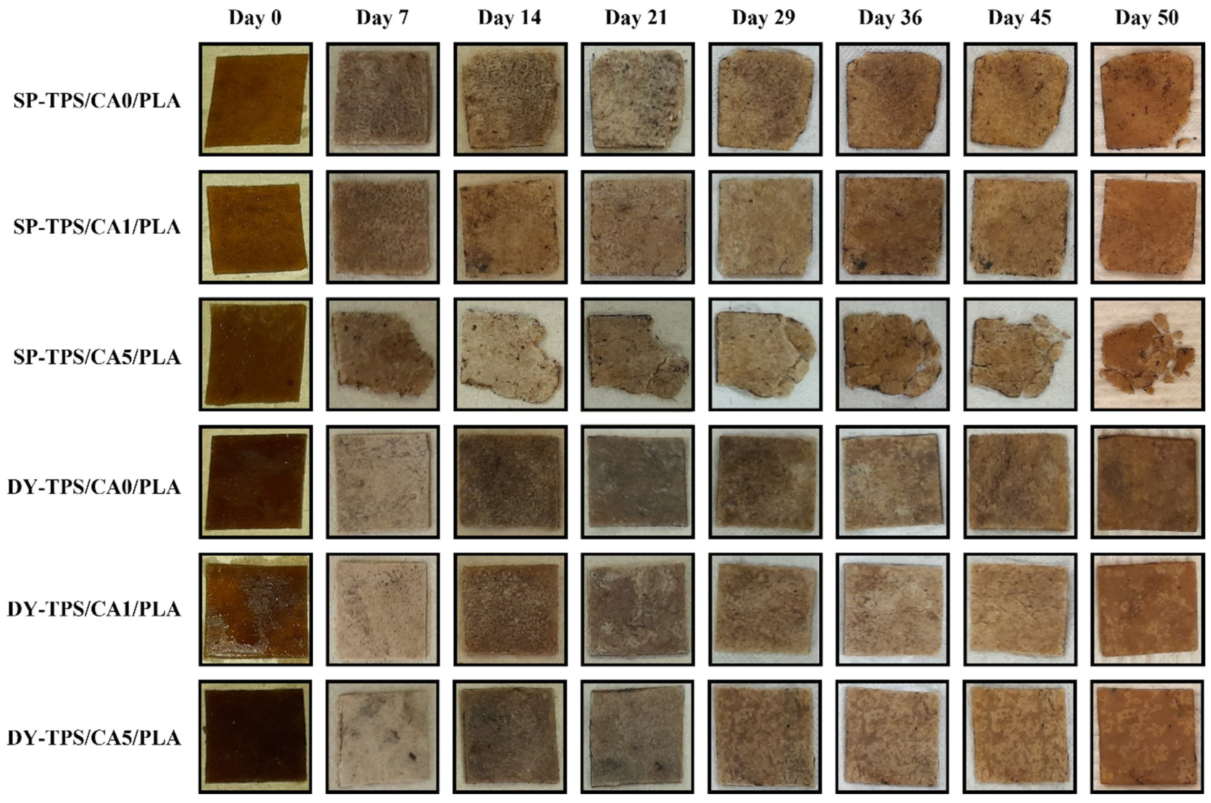 Polymers 17 01295 g004