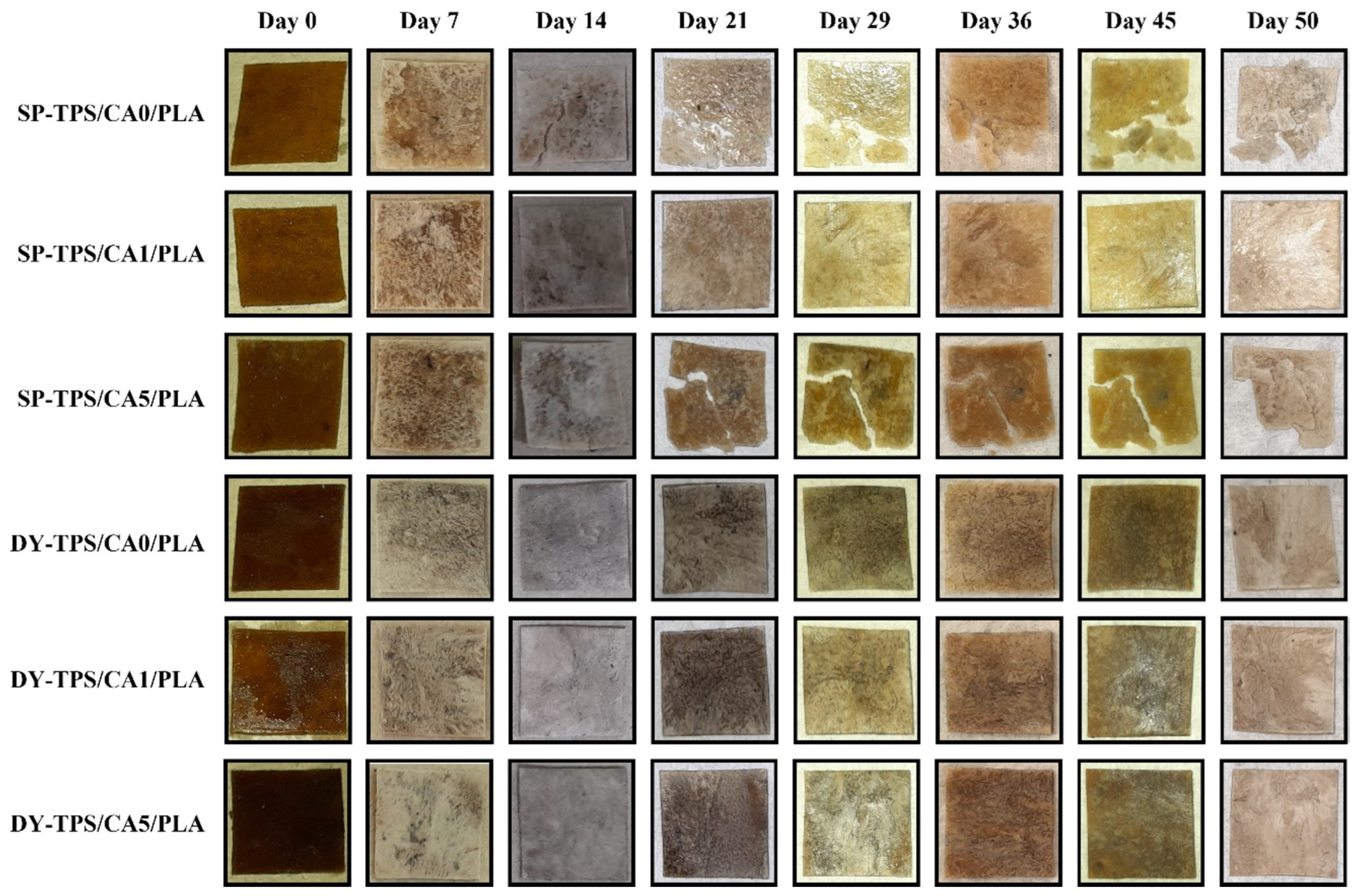 Polymers 17 01295 g005