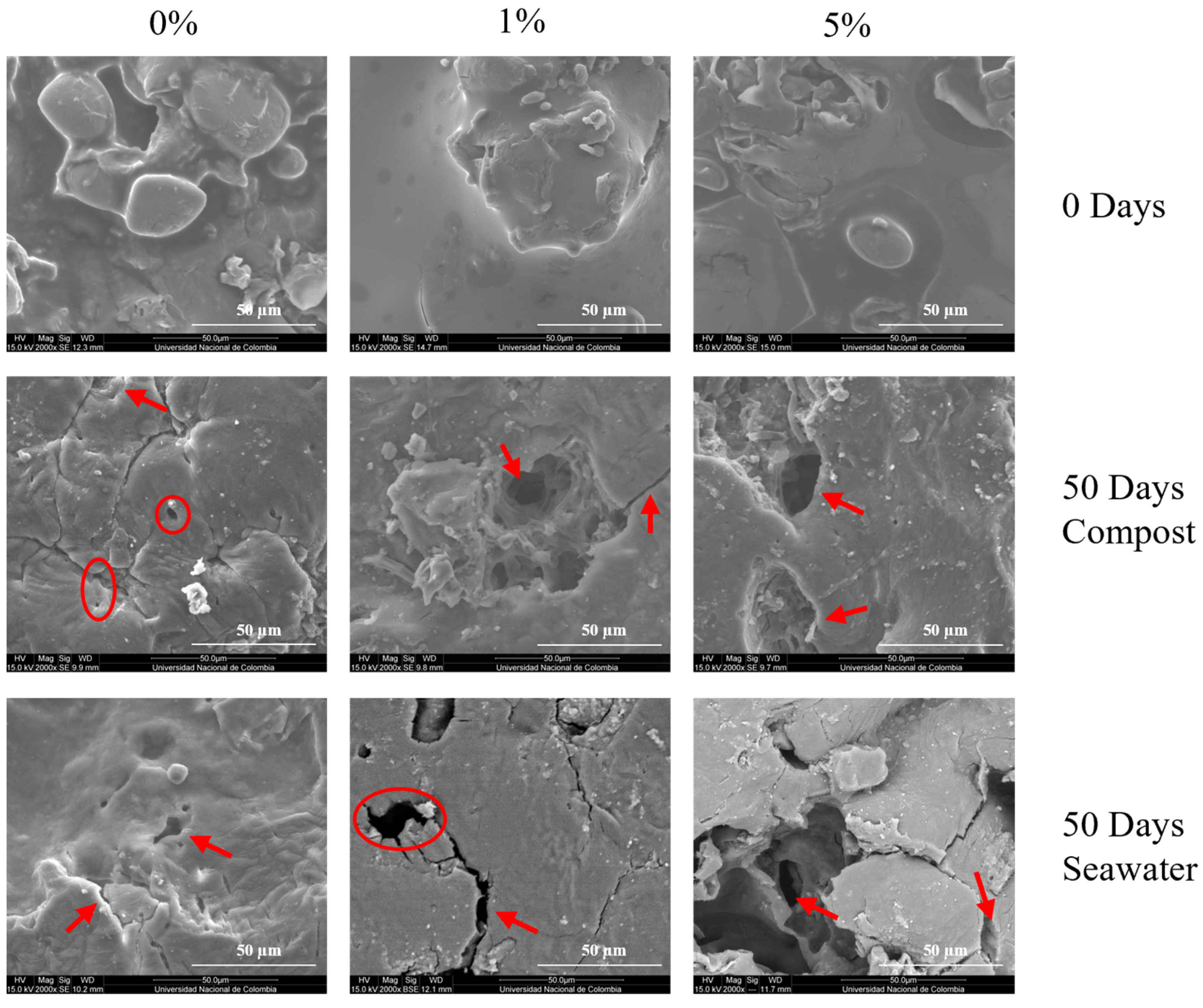 Polymers 17 01295 g007