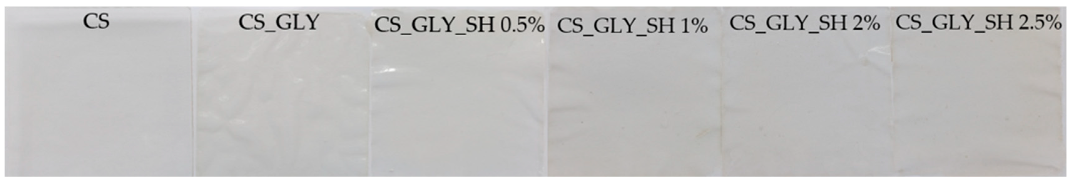 Polymers 17 01298 g001