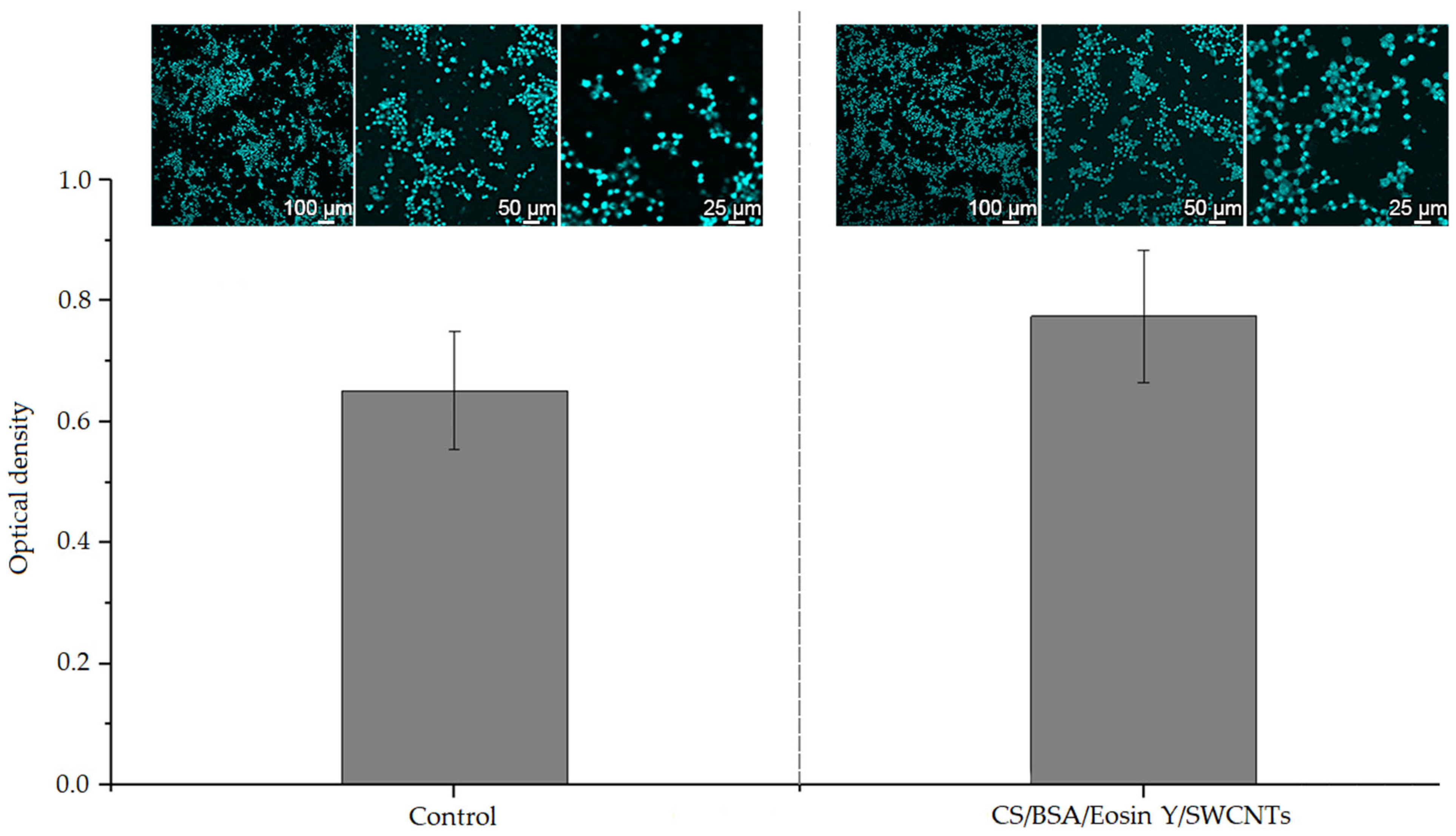 Polymers 17 01300 g009