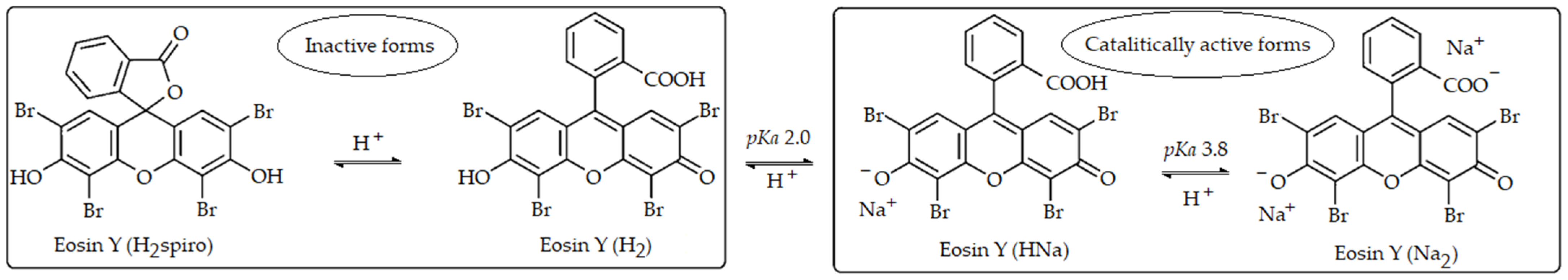 Polymers 17 01300 sch001