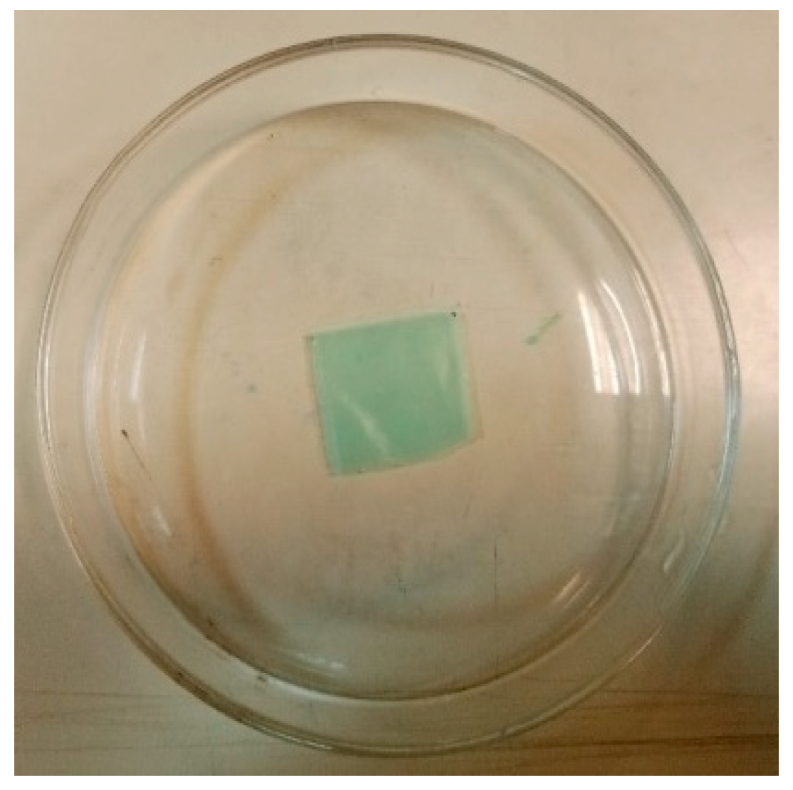 Polymers 17 01303 g001