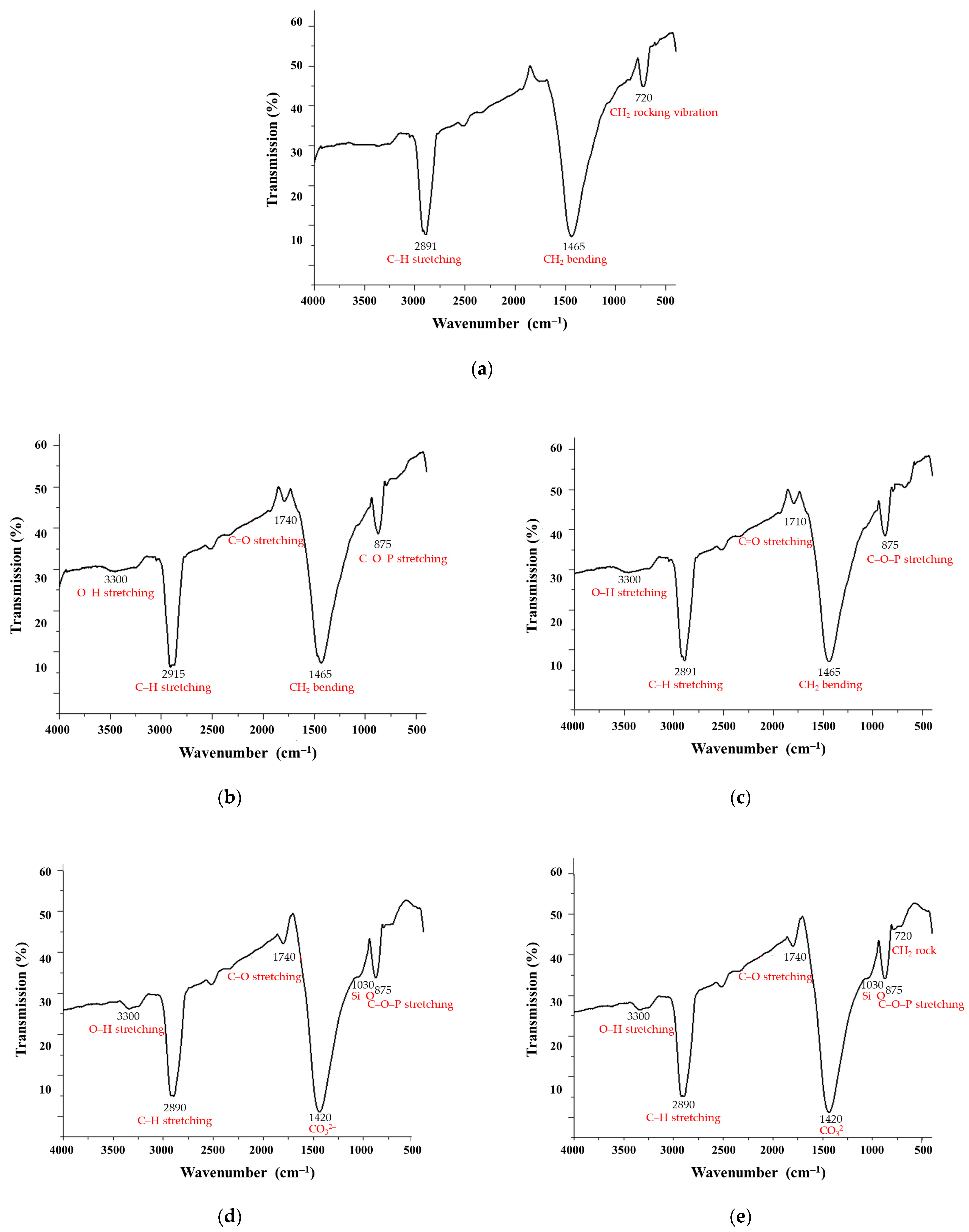 Polymers 17 01303 g004