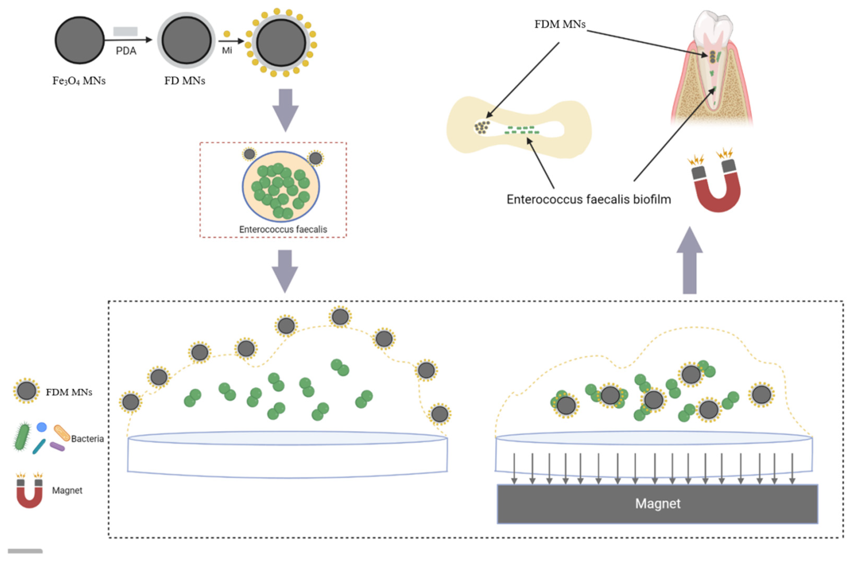 Polymers 17 01305 g001