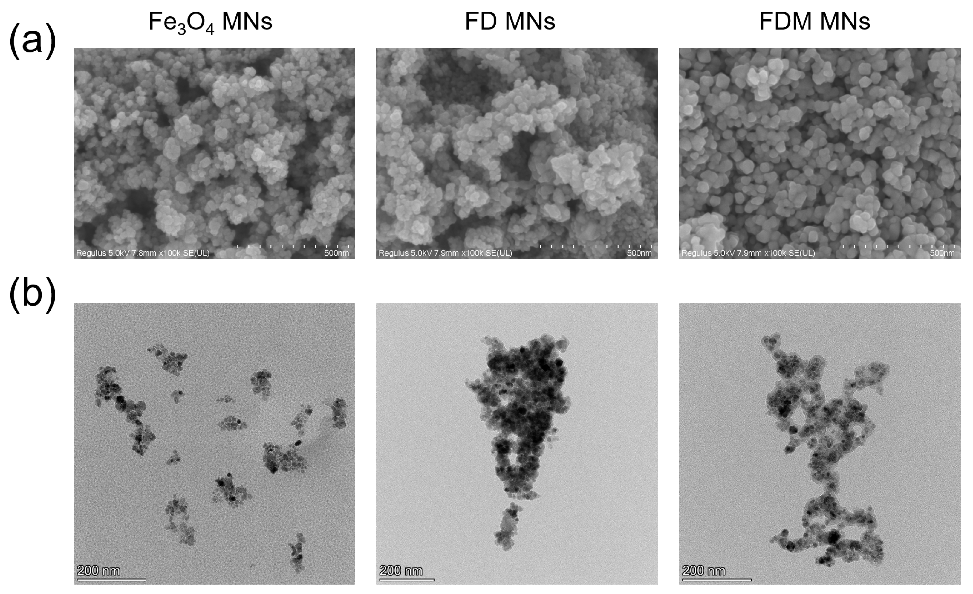 Polymers 17 01305 g002