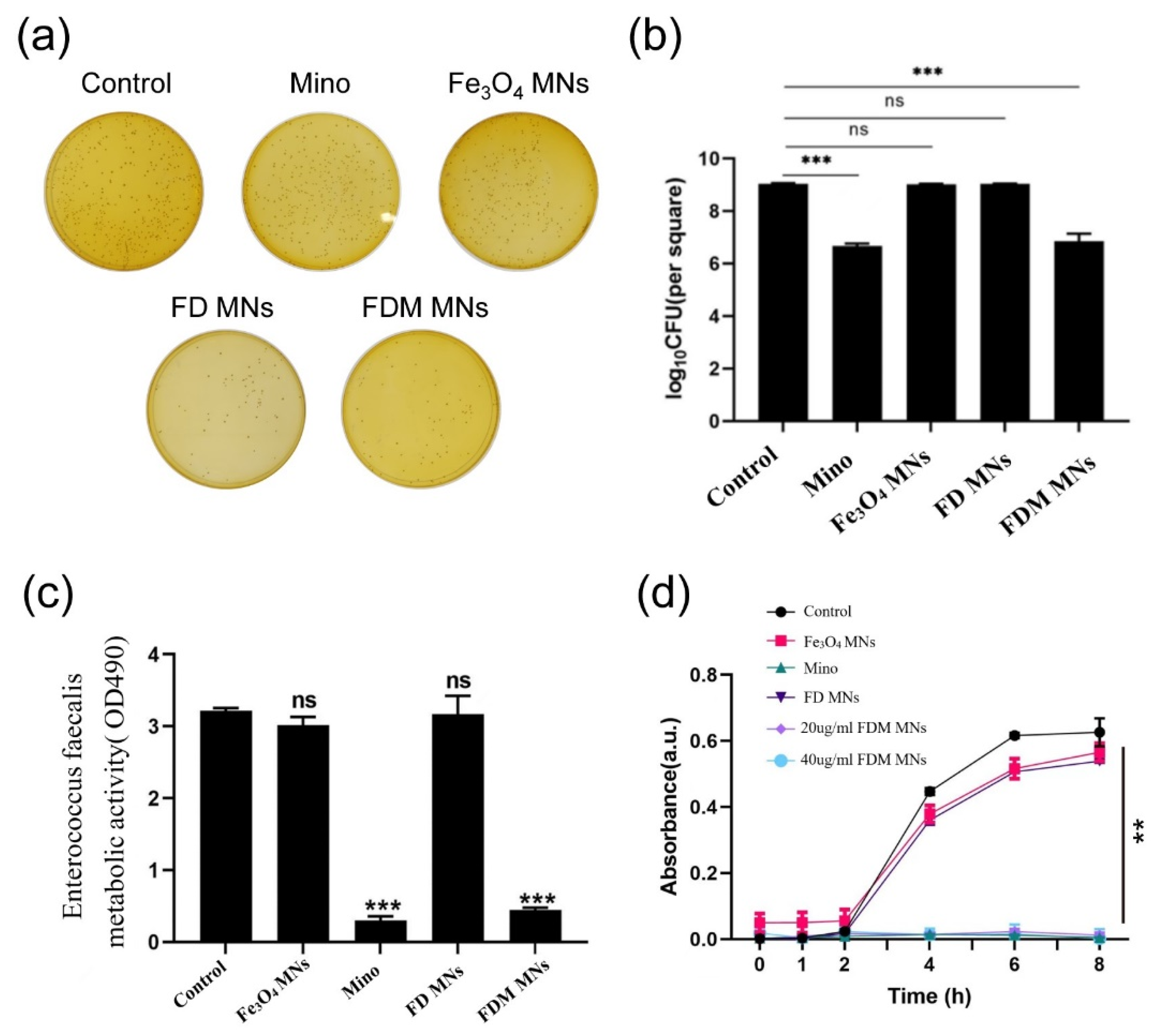 Polymers 17 01305 g004