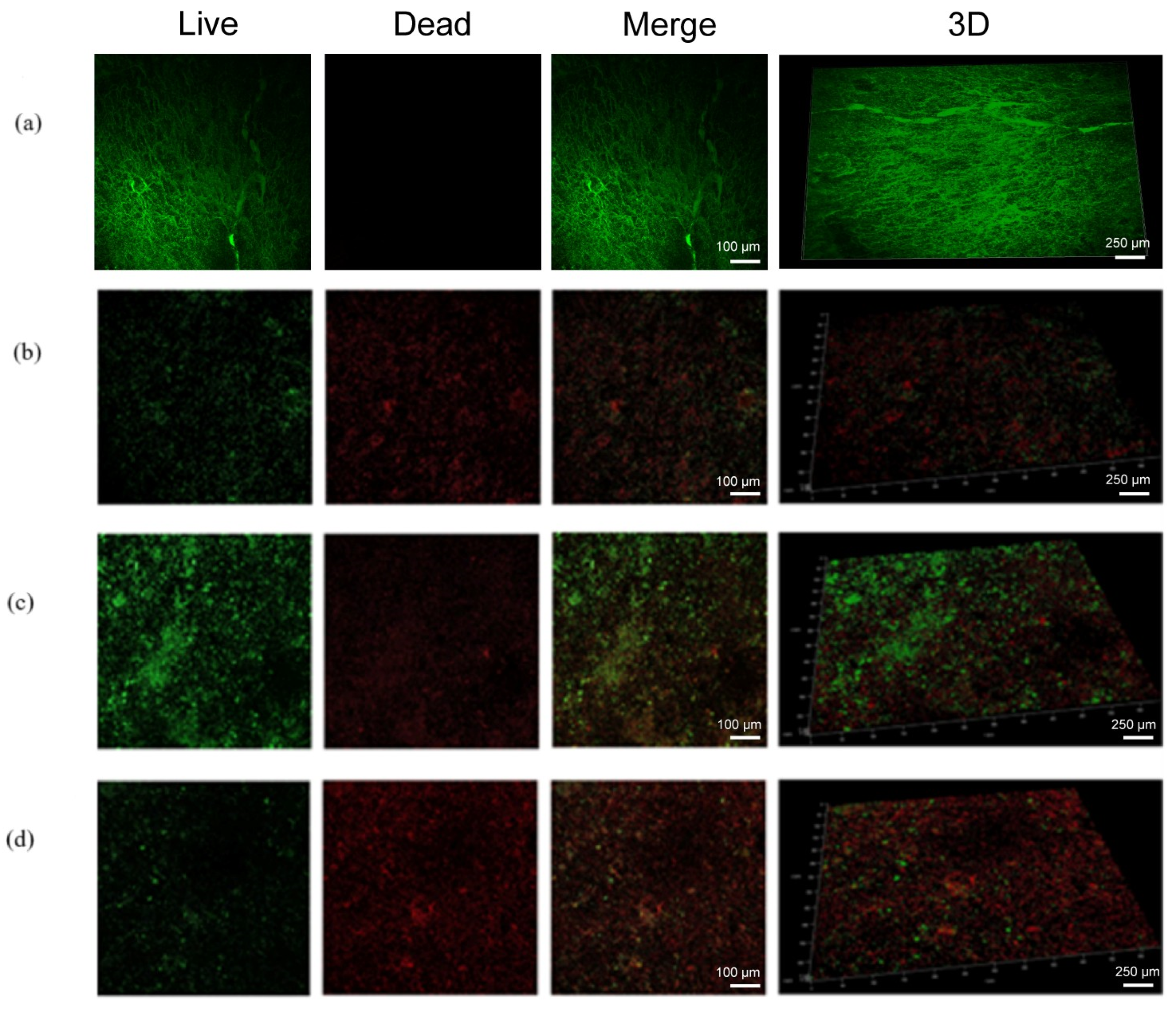 Polymers 17 01305 g006