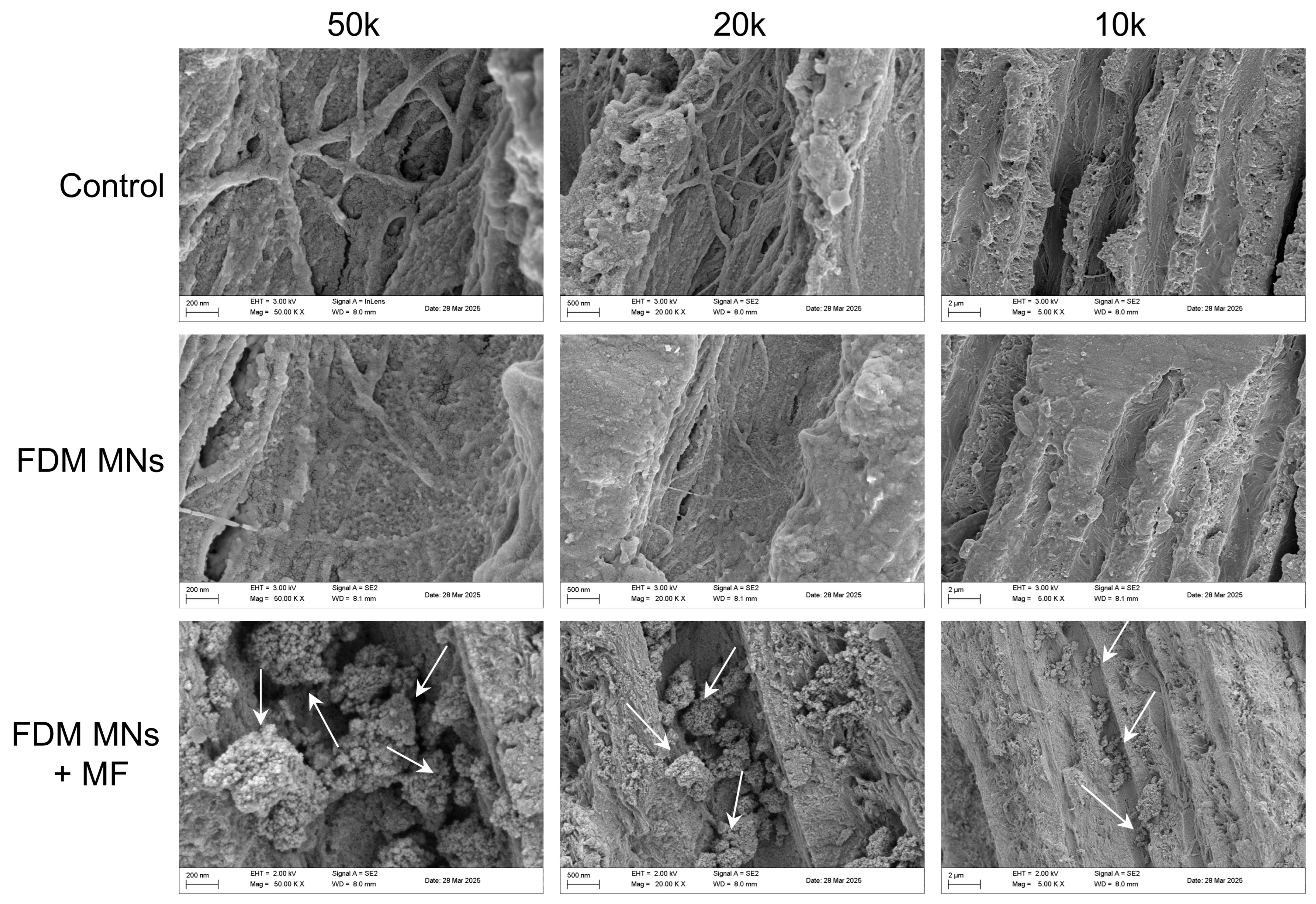 Polymers 17 01305 g007