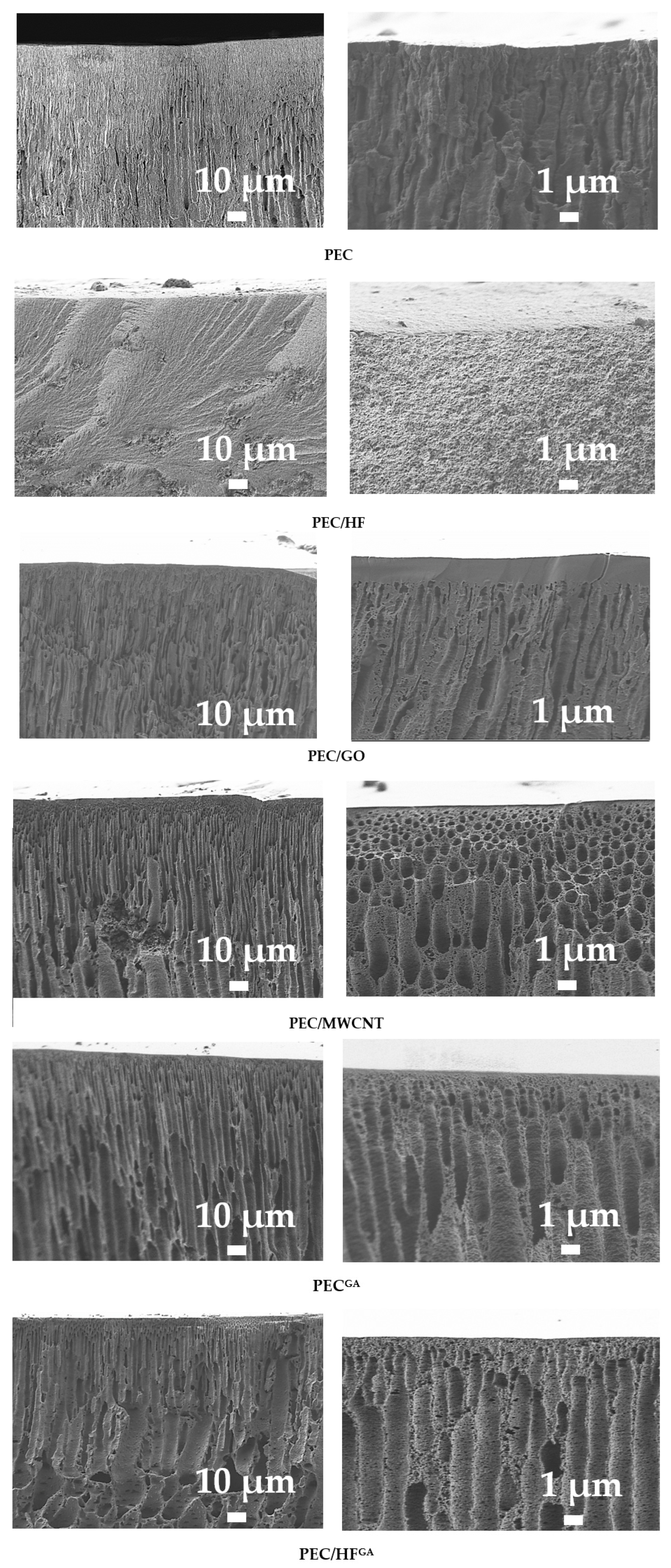 Polymers 17 01306 g010