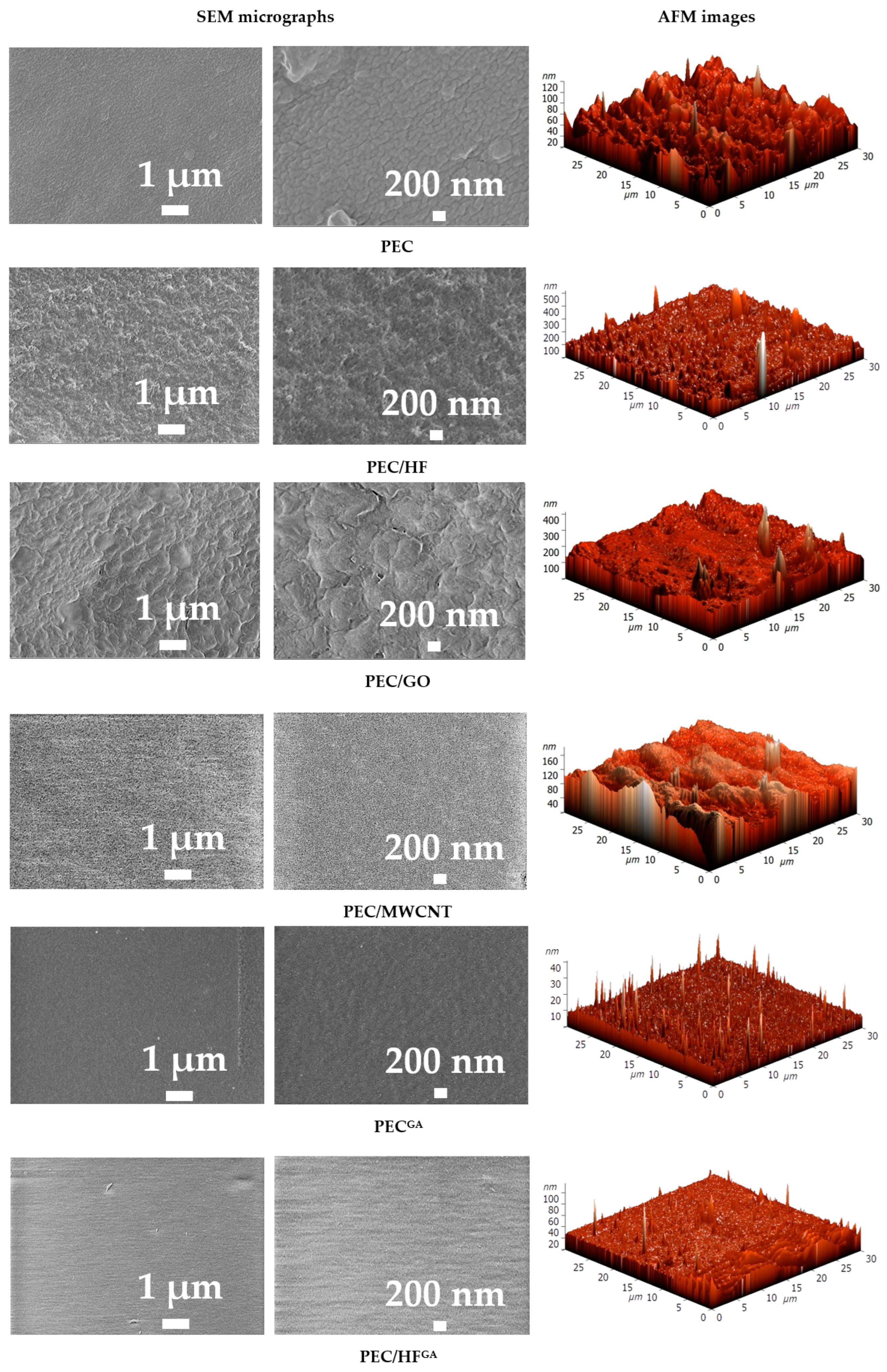 Polymers 17 01306 g011