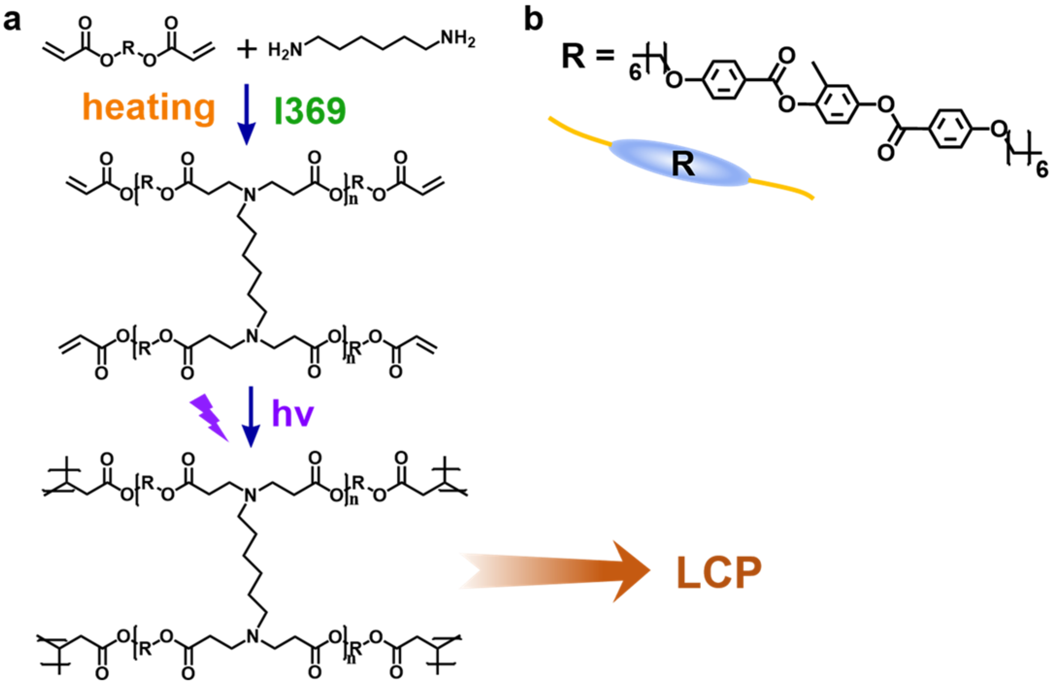 Polymers 17 01315 g001