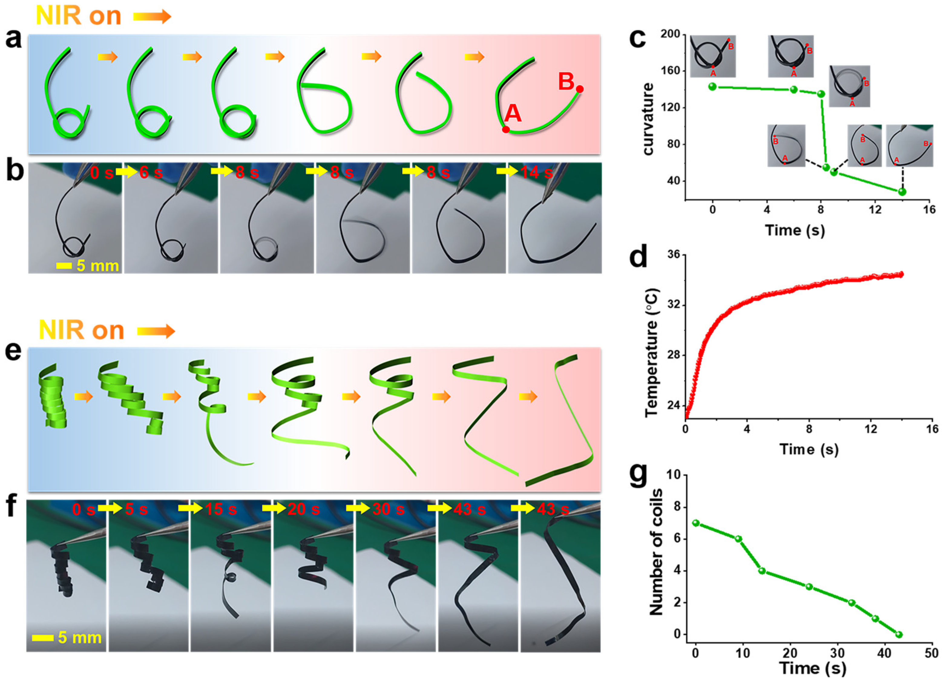 Polymers 17 01315 g004