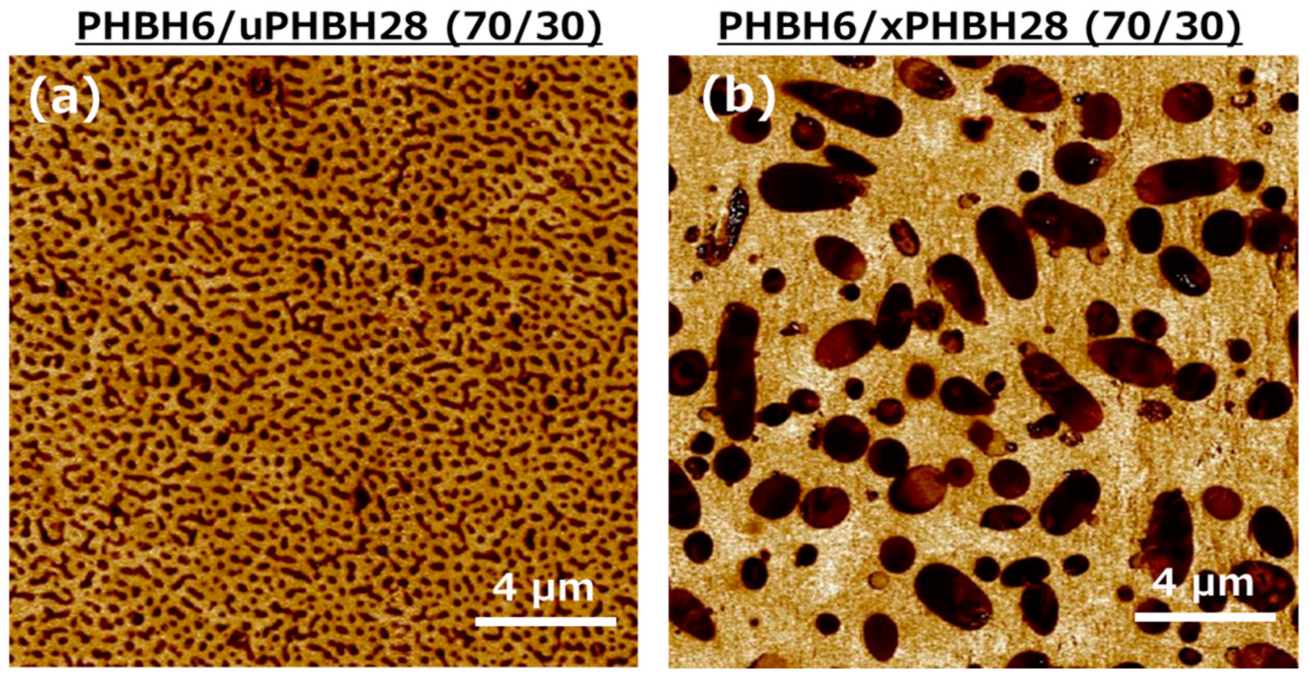Polymers 17 01318 g002