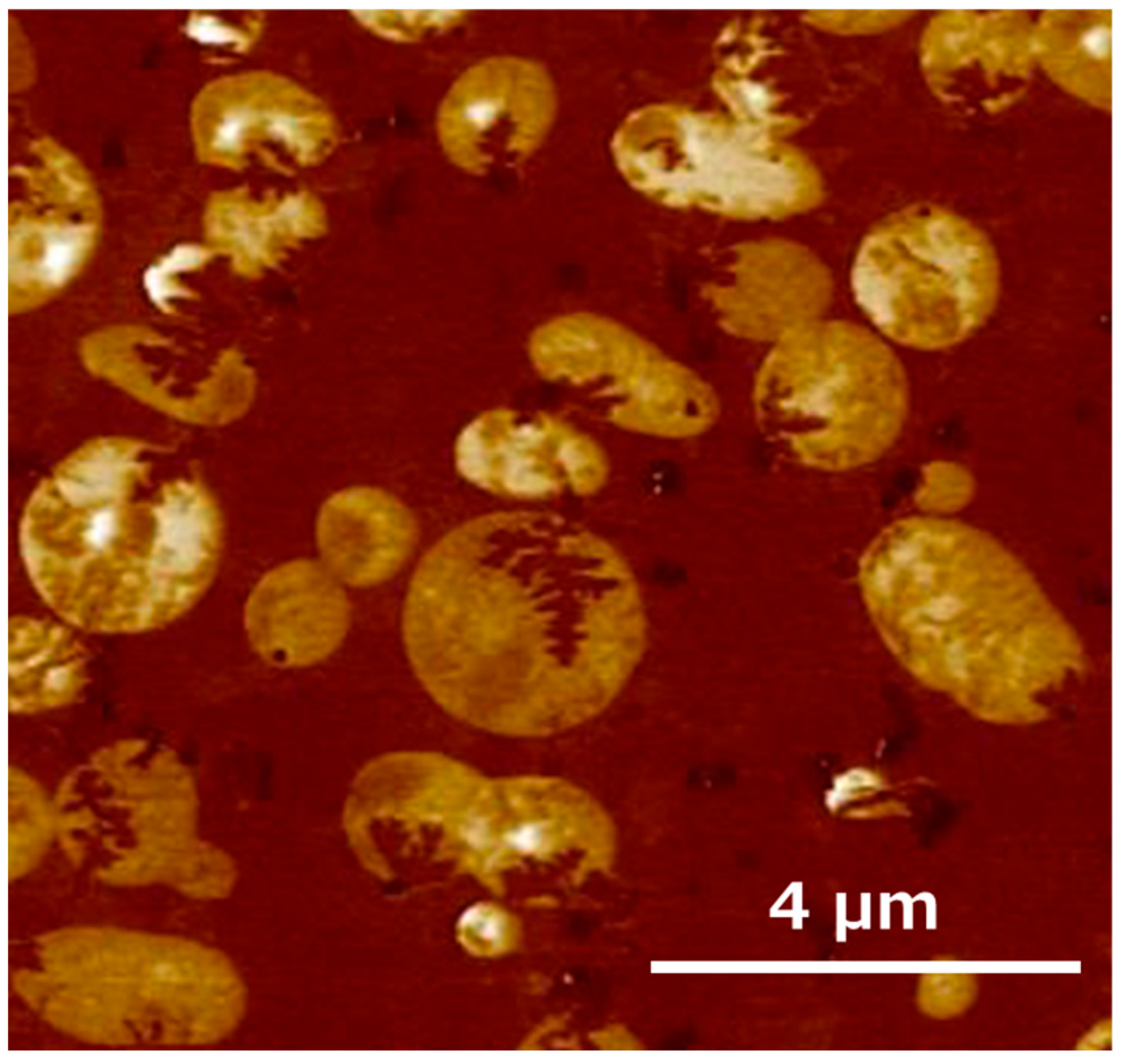Polymers 17 01318 g003