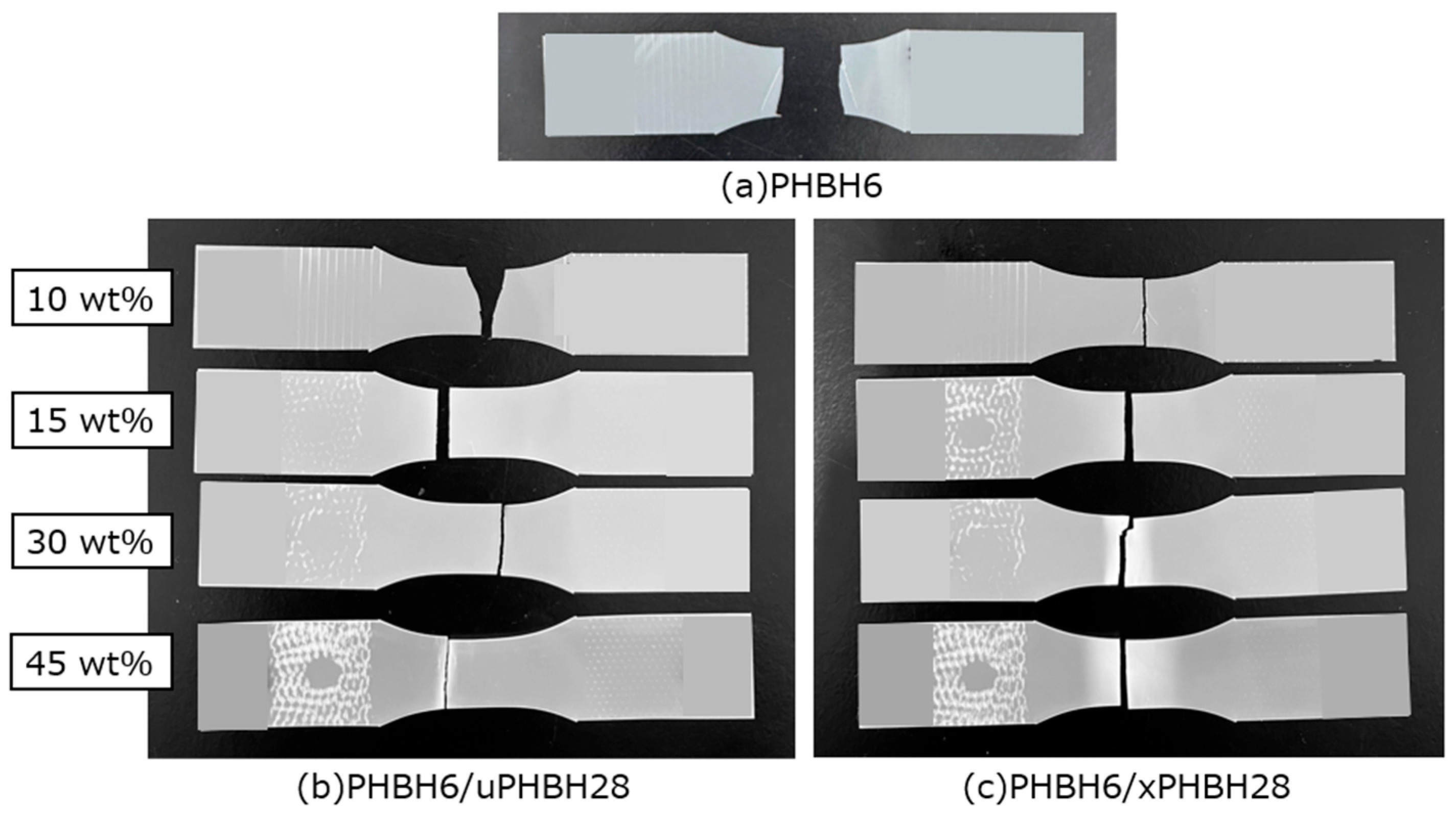 Polymers 17 01318 g006