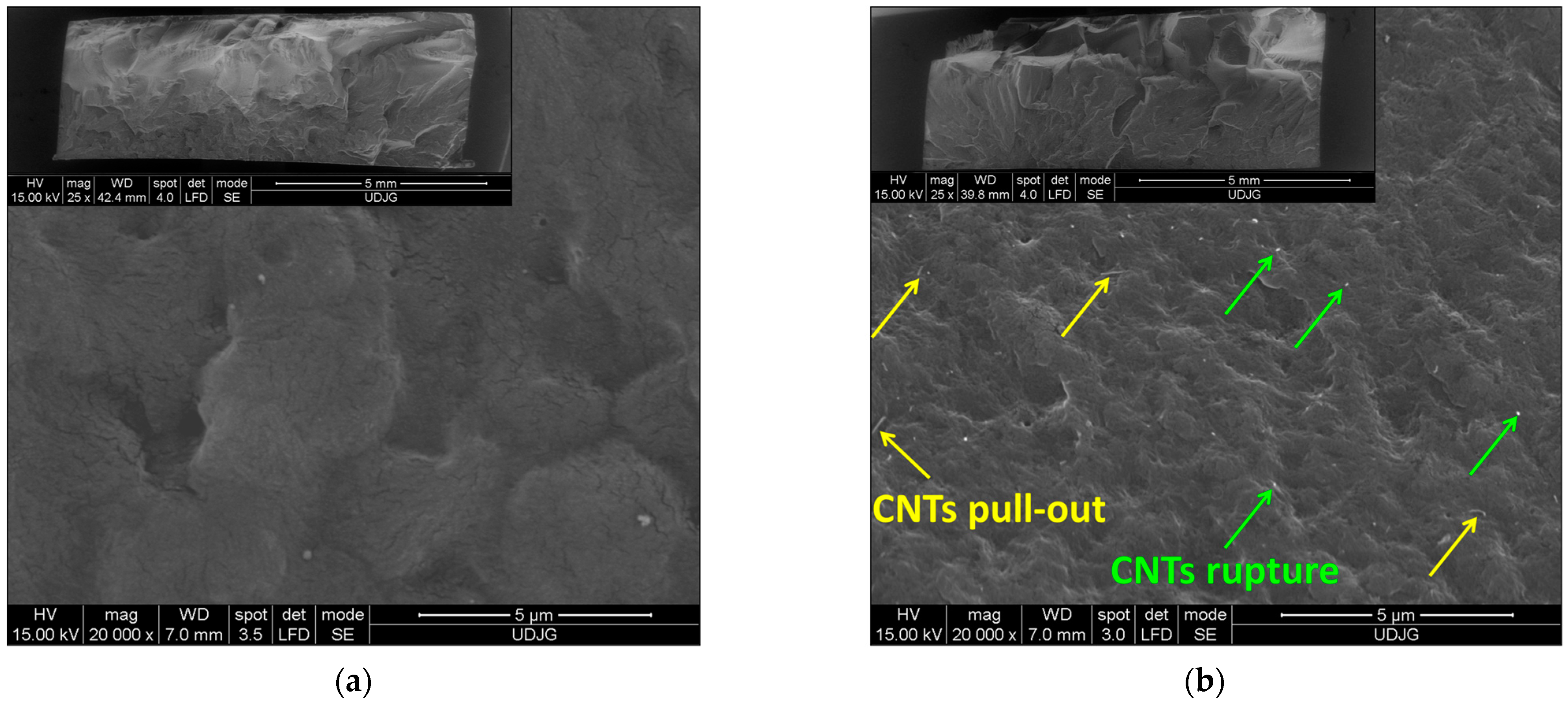 Polymers 17 01319 g005a