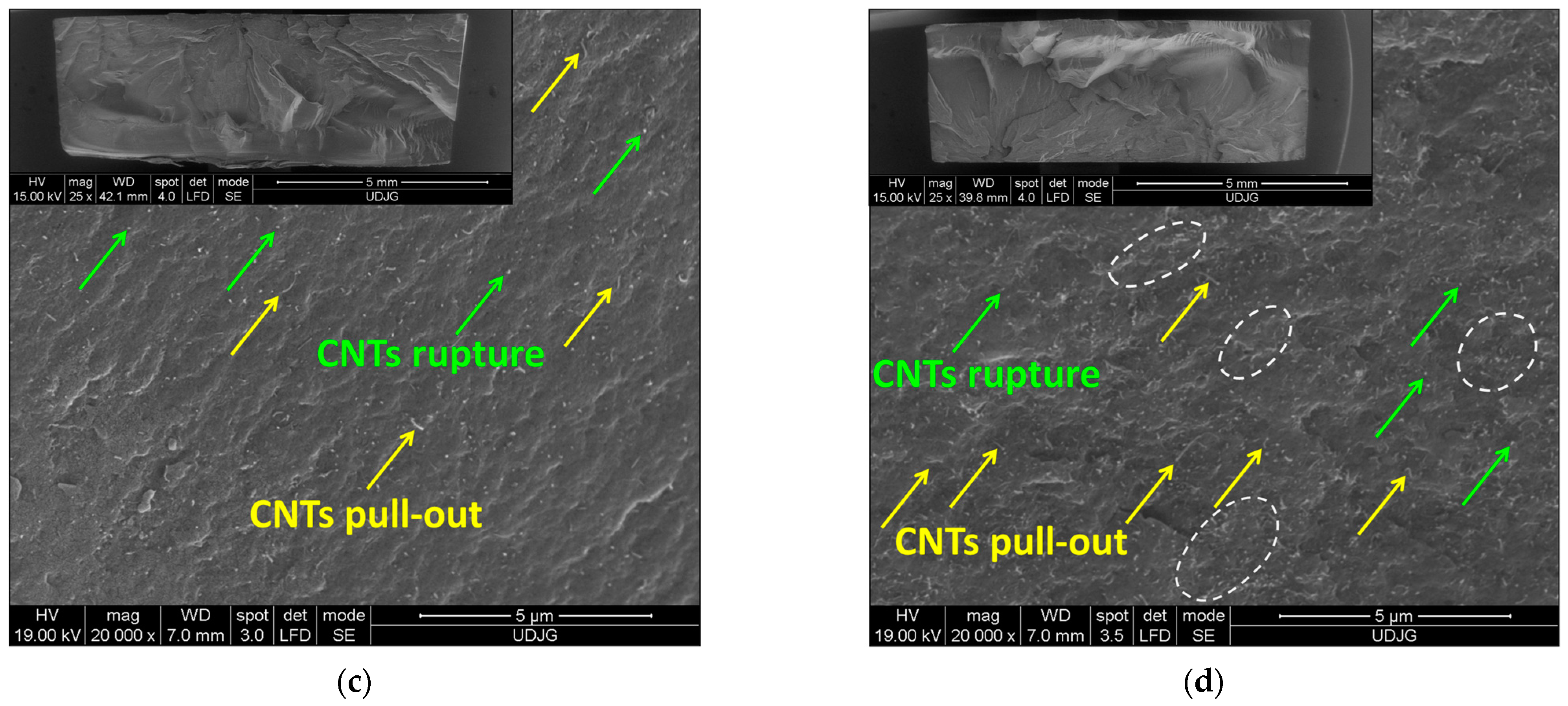 Polymers 17 01319 g005b