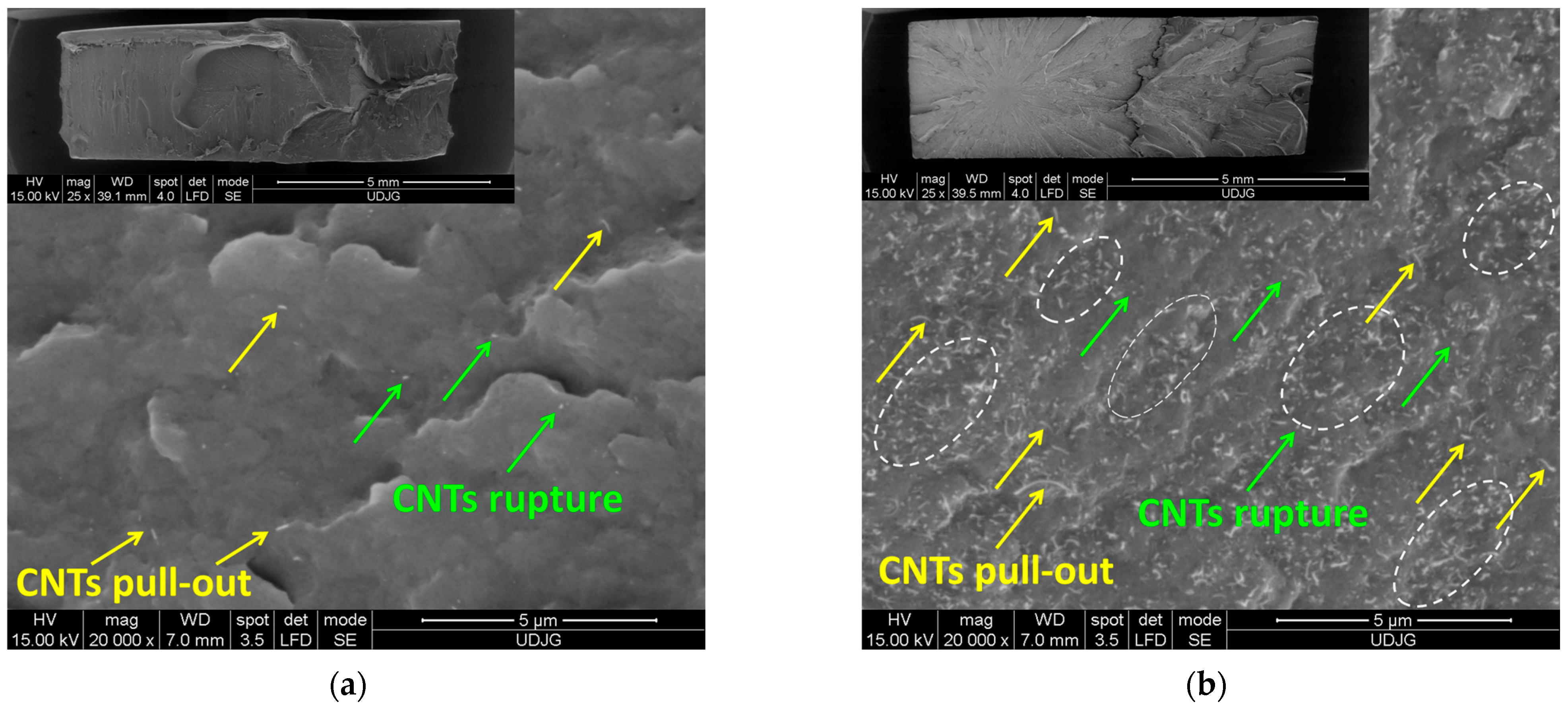 Polymers 17 01319 g006