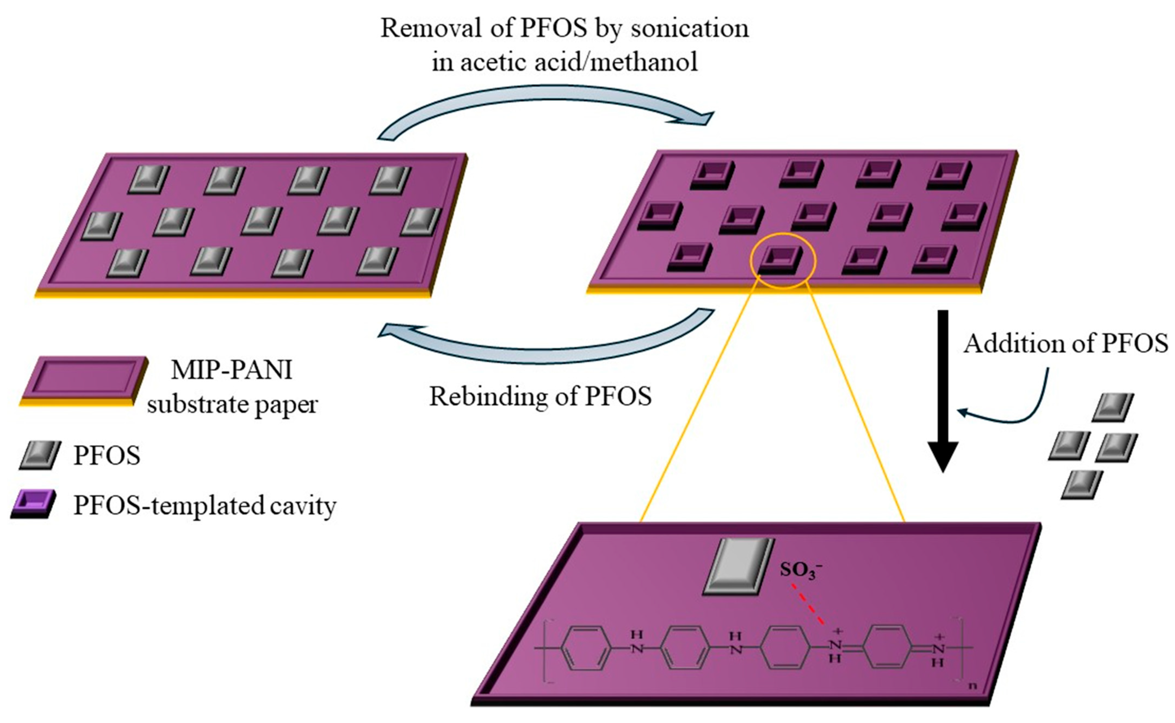 Polymers 17 01320 g009