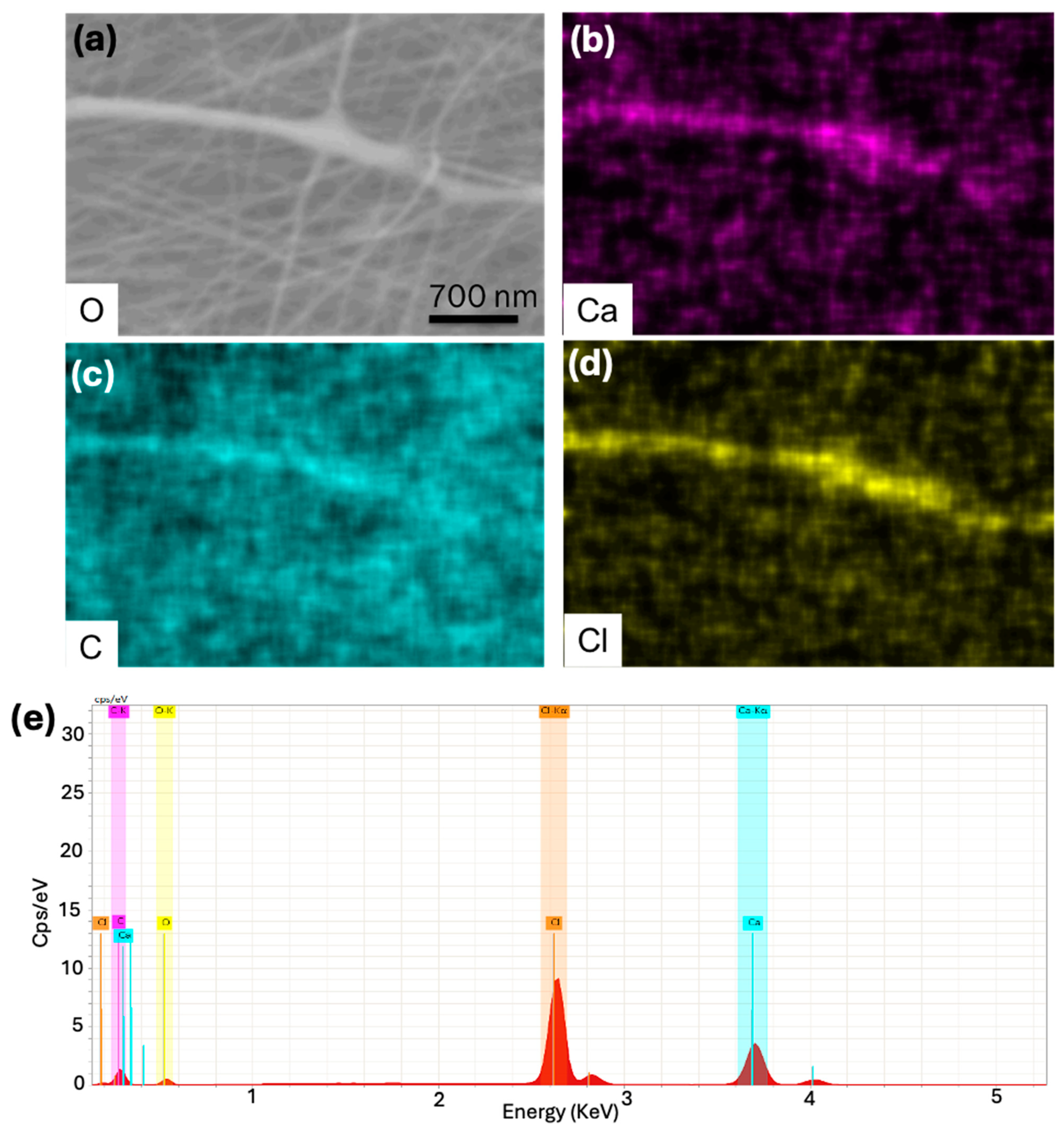 Polymers 17 01322 g004