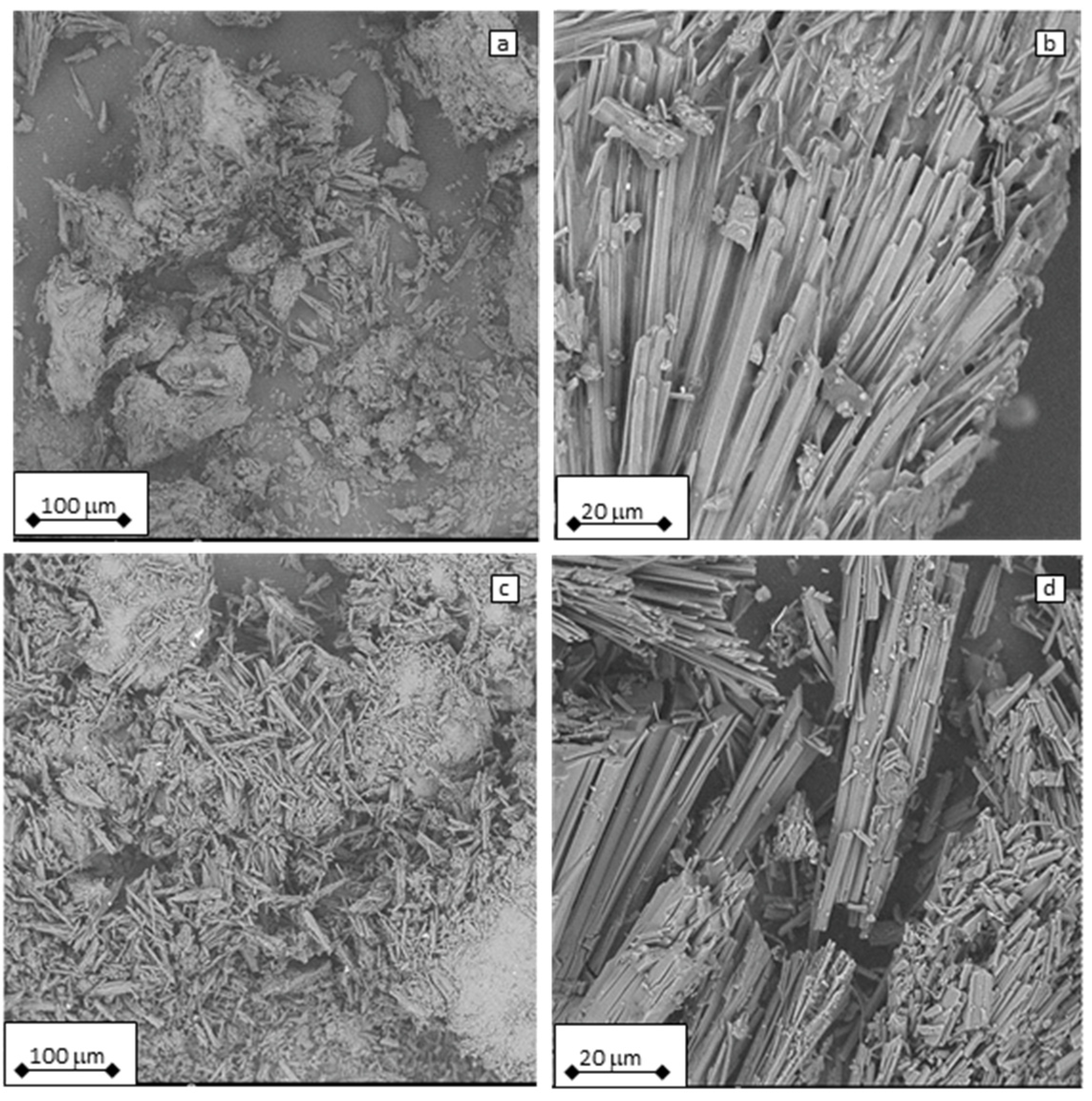 Polymers 17 01326 g008