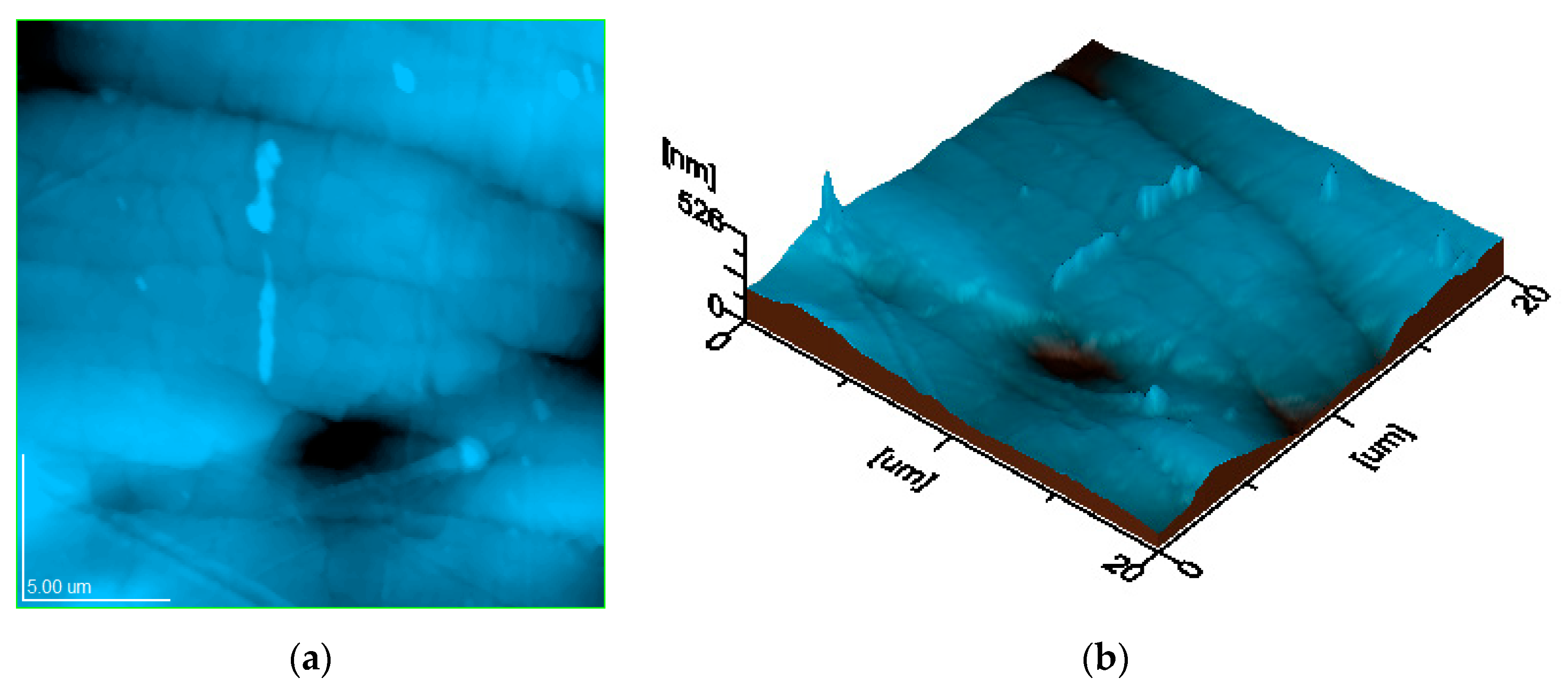 Polymers 17 01327 g013