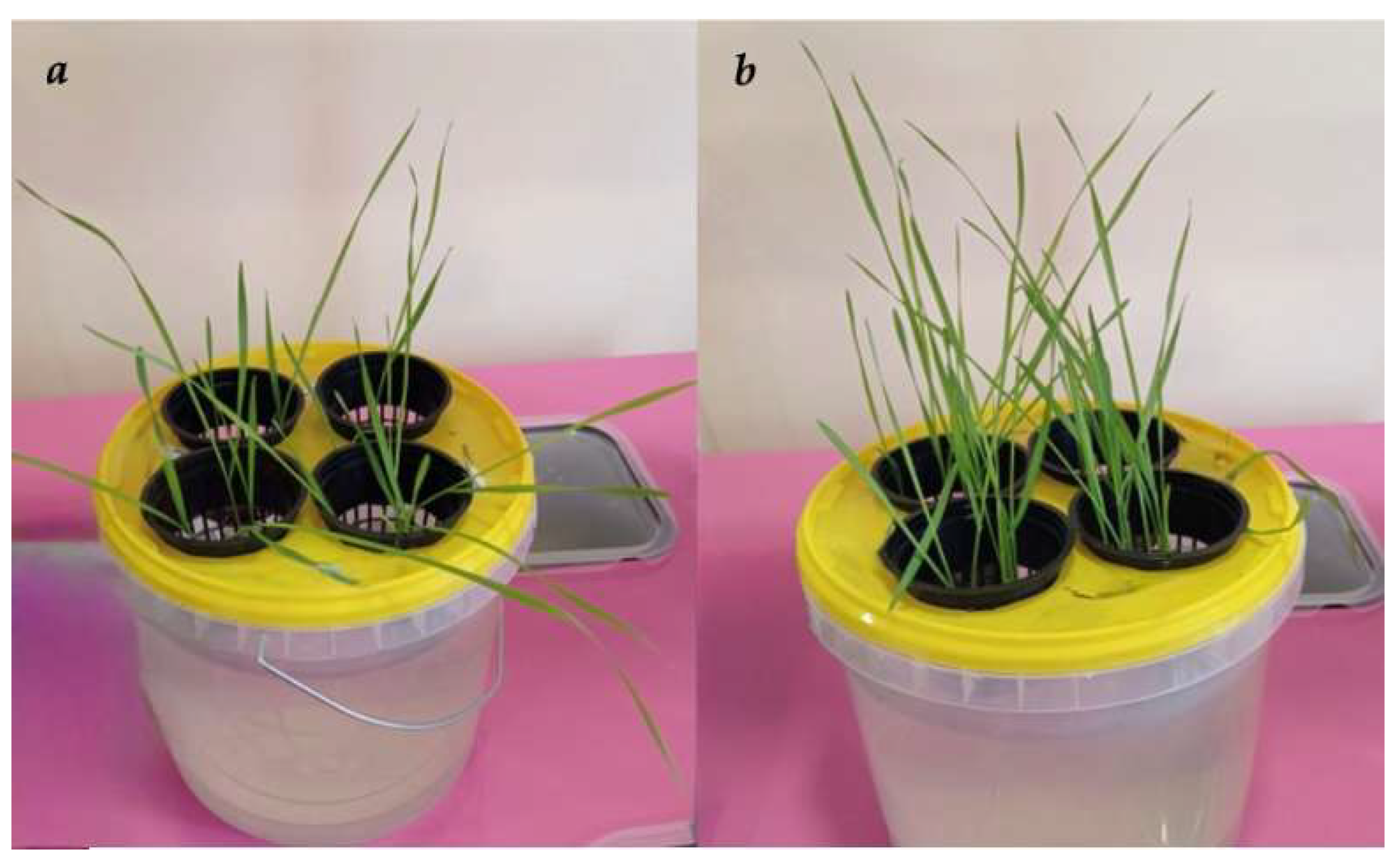 Polymers 17 01330 g008