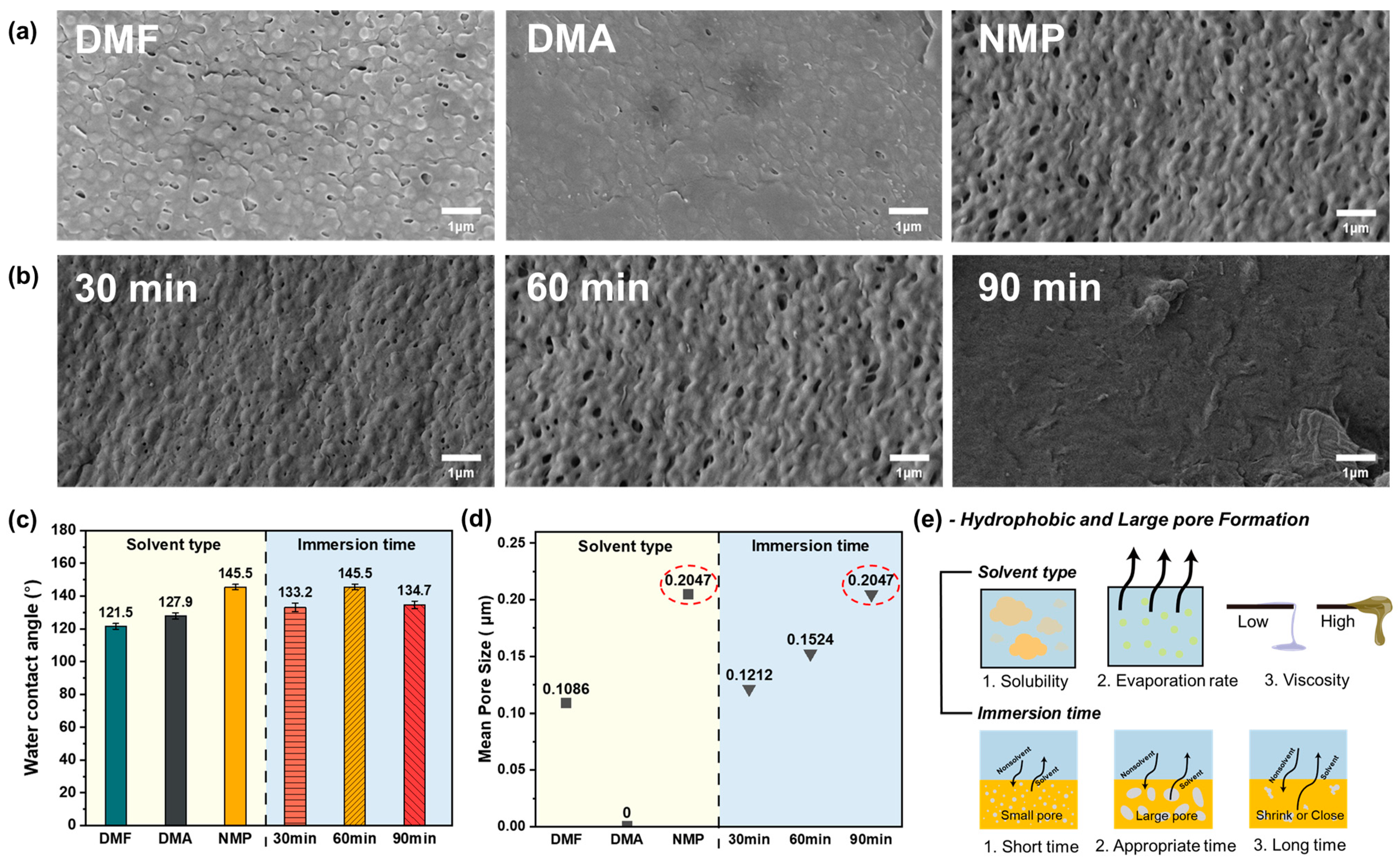 Polymers 17 01332 g002