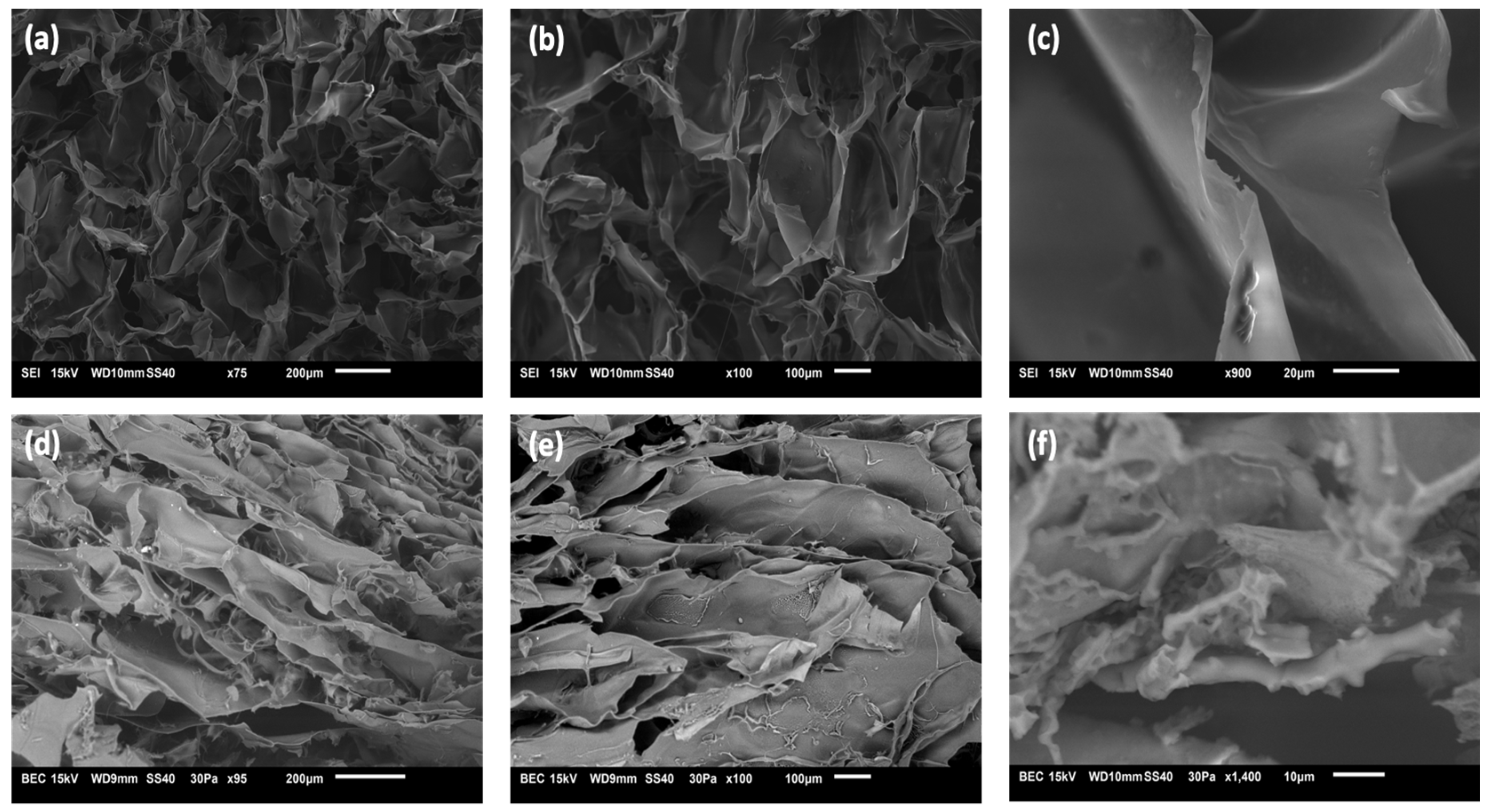 Polymers 17 01335 g002