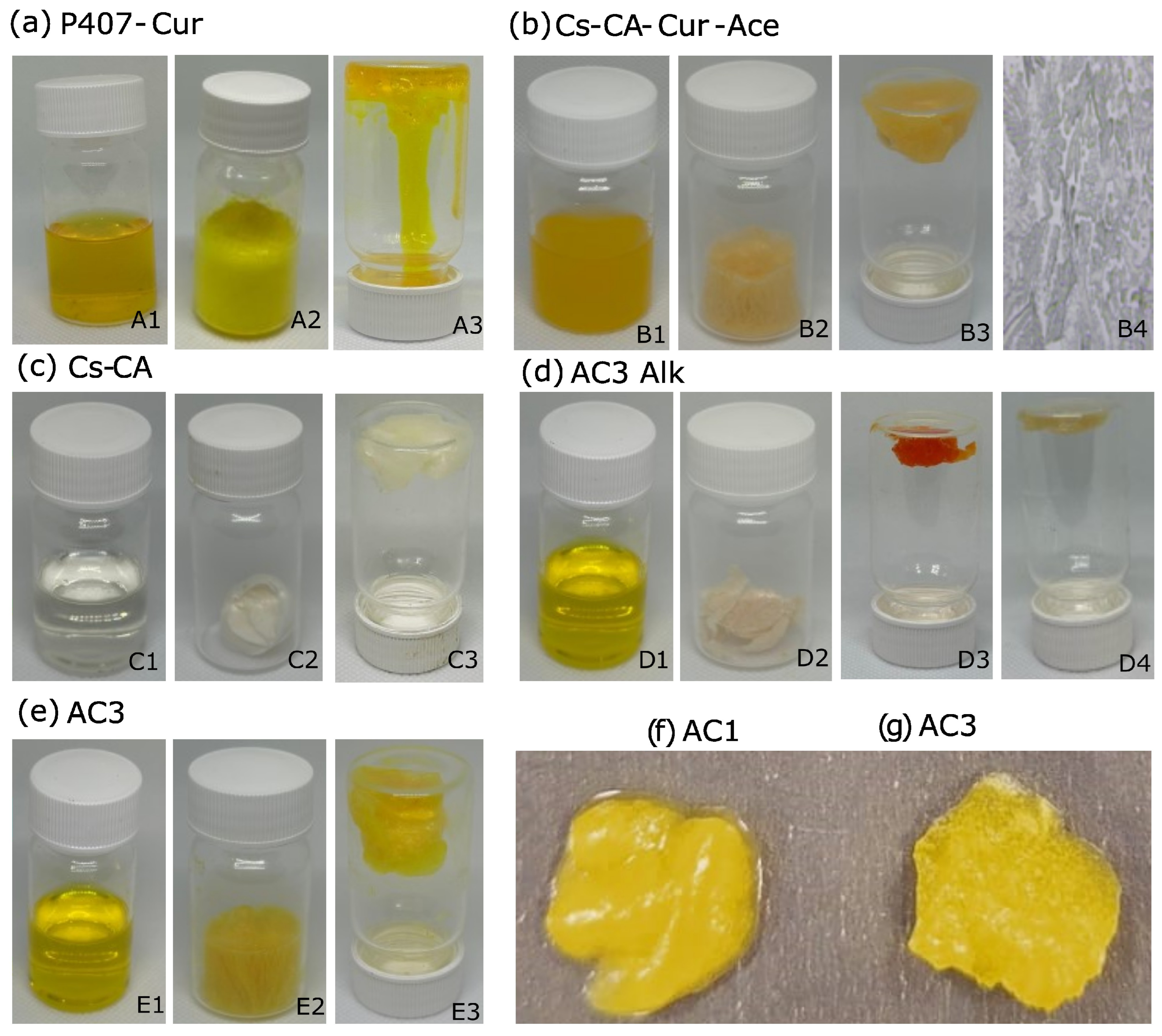 Polymers 17 01335 g0a2