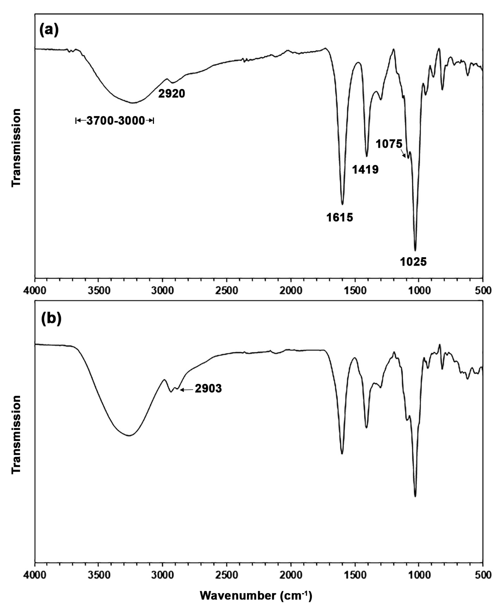 Polymers 17 01338 g002