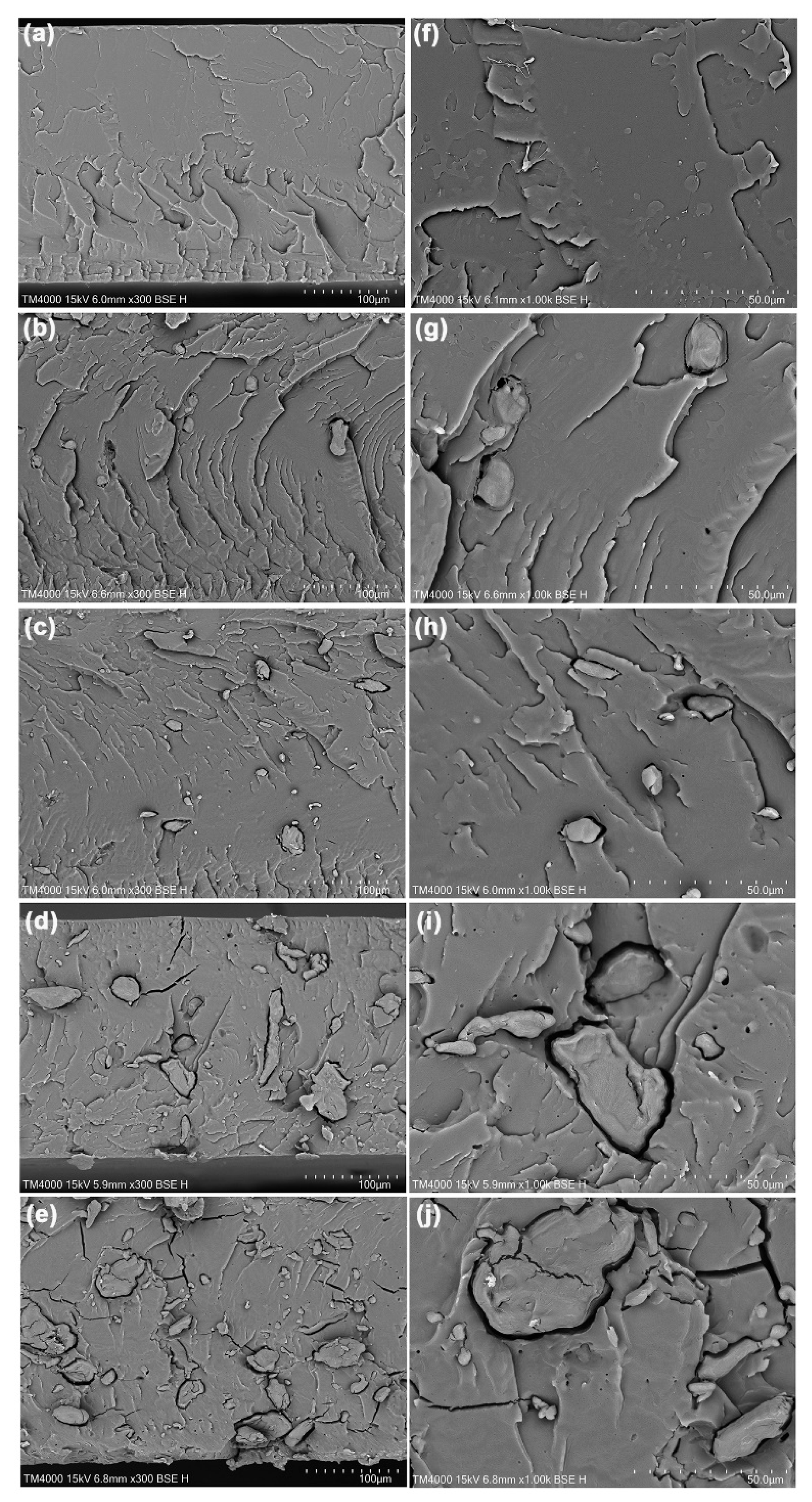 Polymers 17 01338 g008