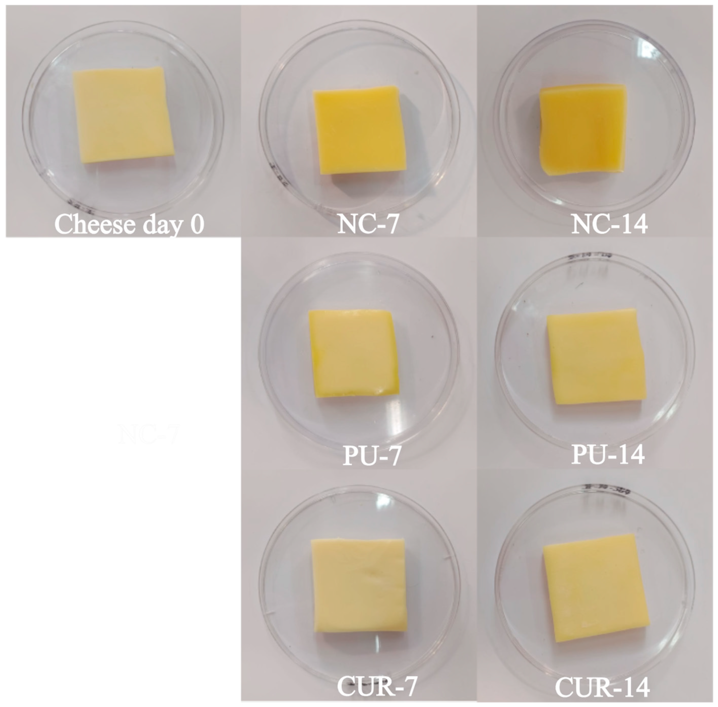 Polymers 17 01342 g001