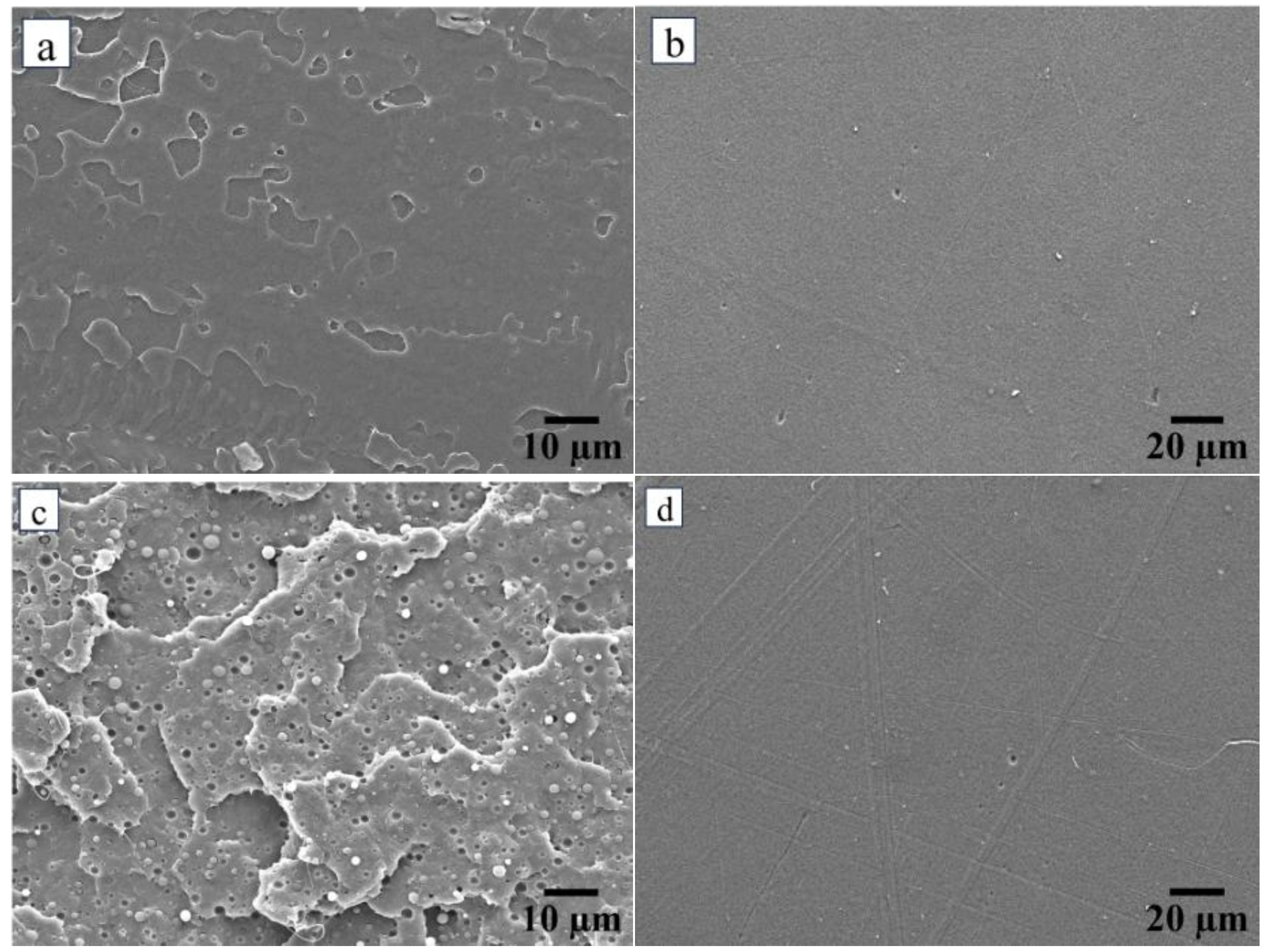 Polymers 17 01345 g001a
