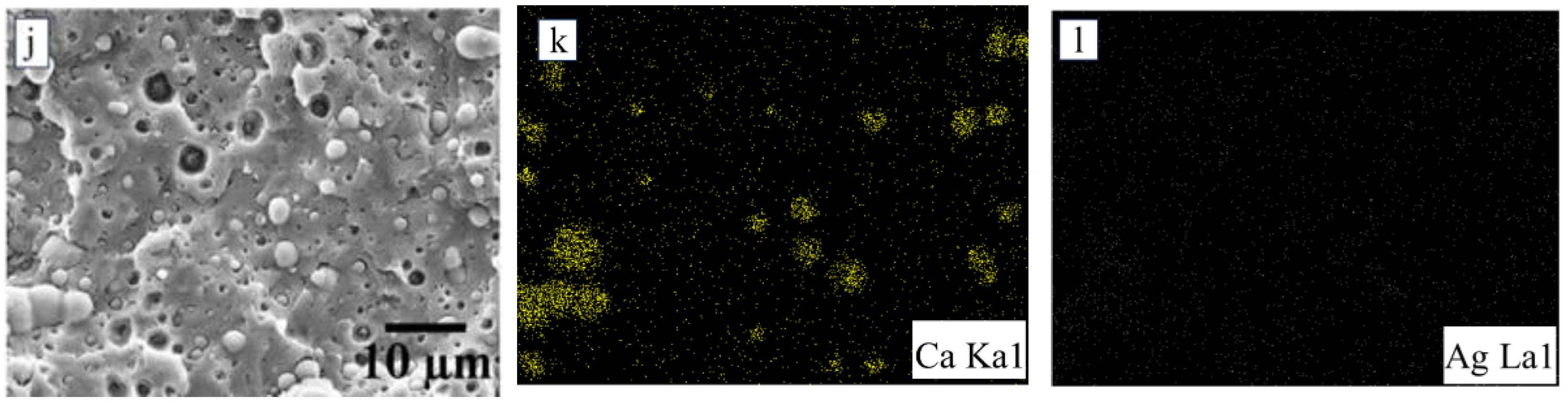 Polymers 17 01345 g002b