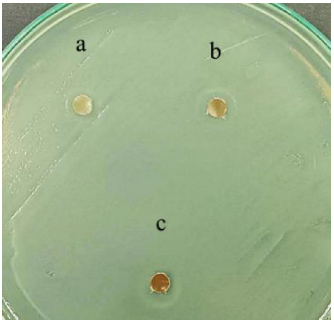 Polymers 17 01345 g006