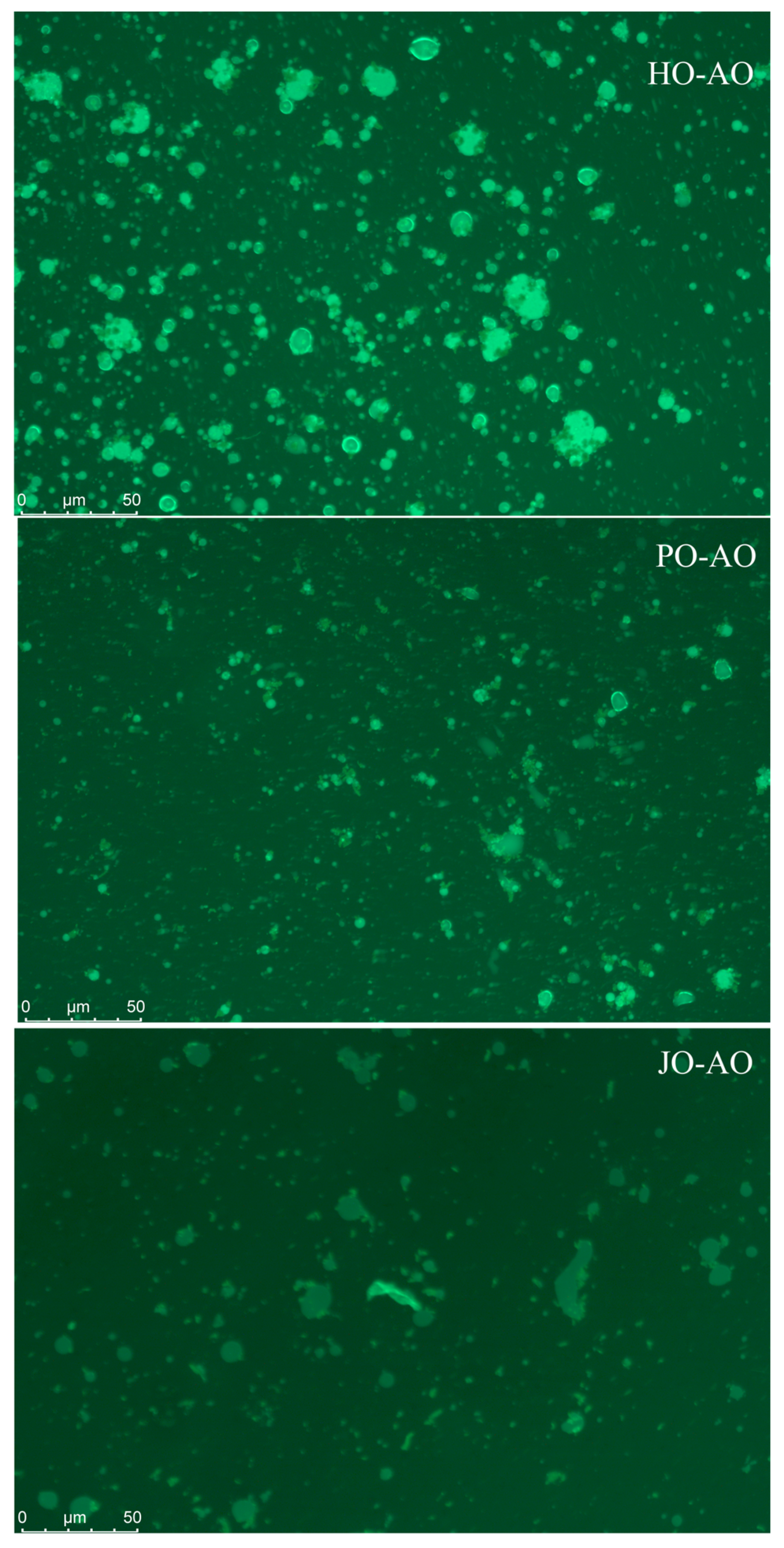 Polymers 17 01346 g016