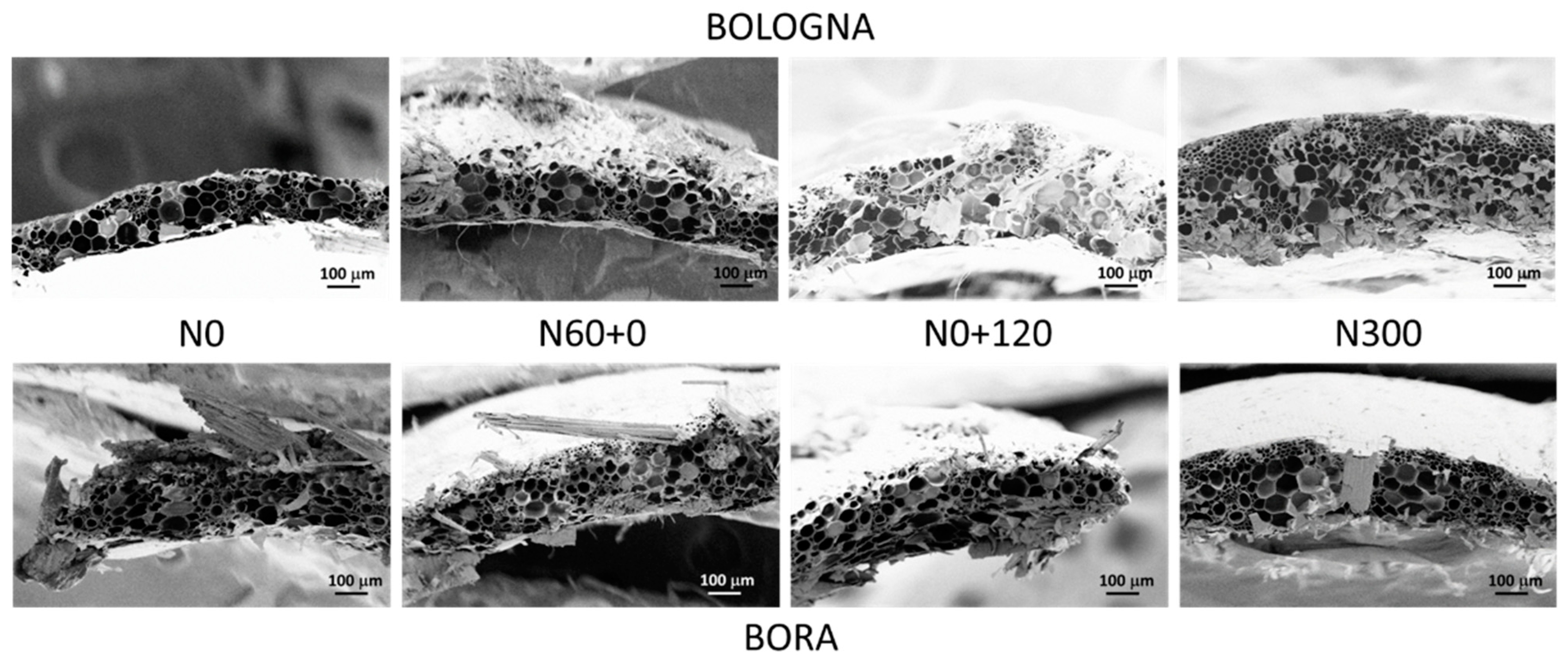 Polymers 17 01347 g001