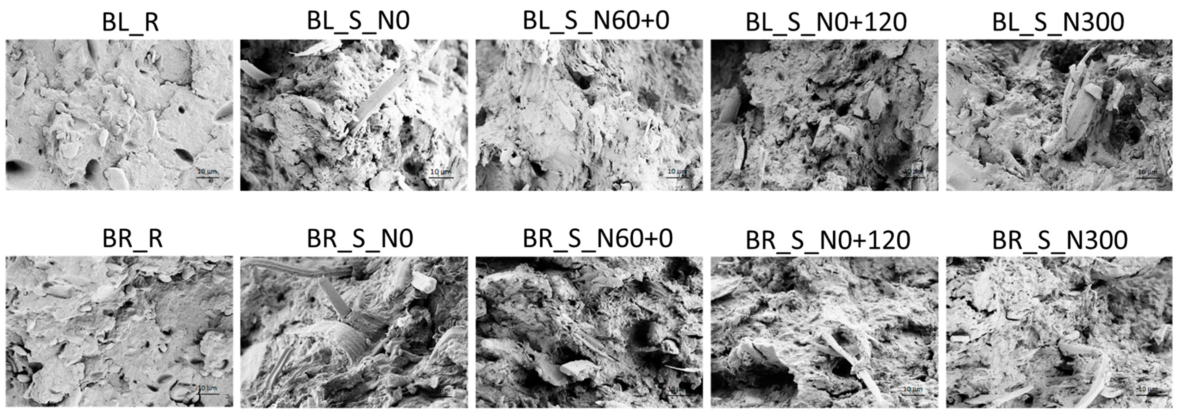 Polymers 17 01347 g005