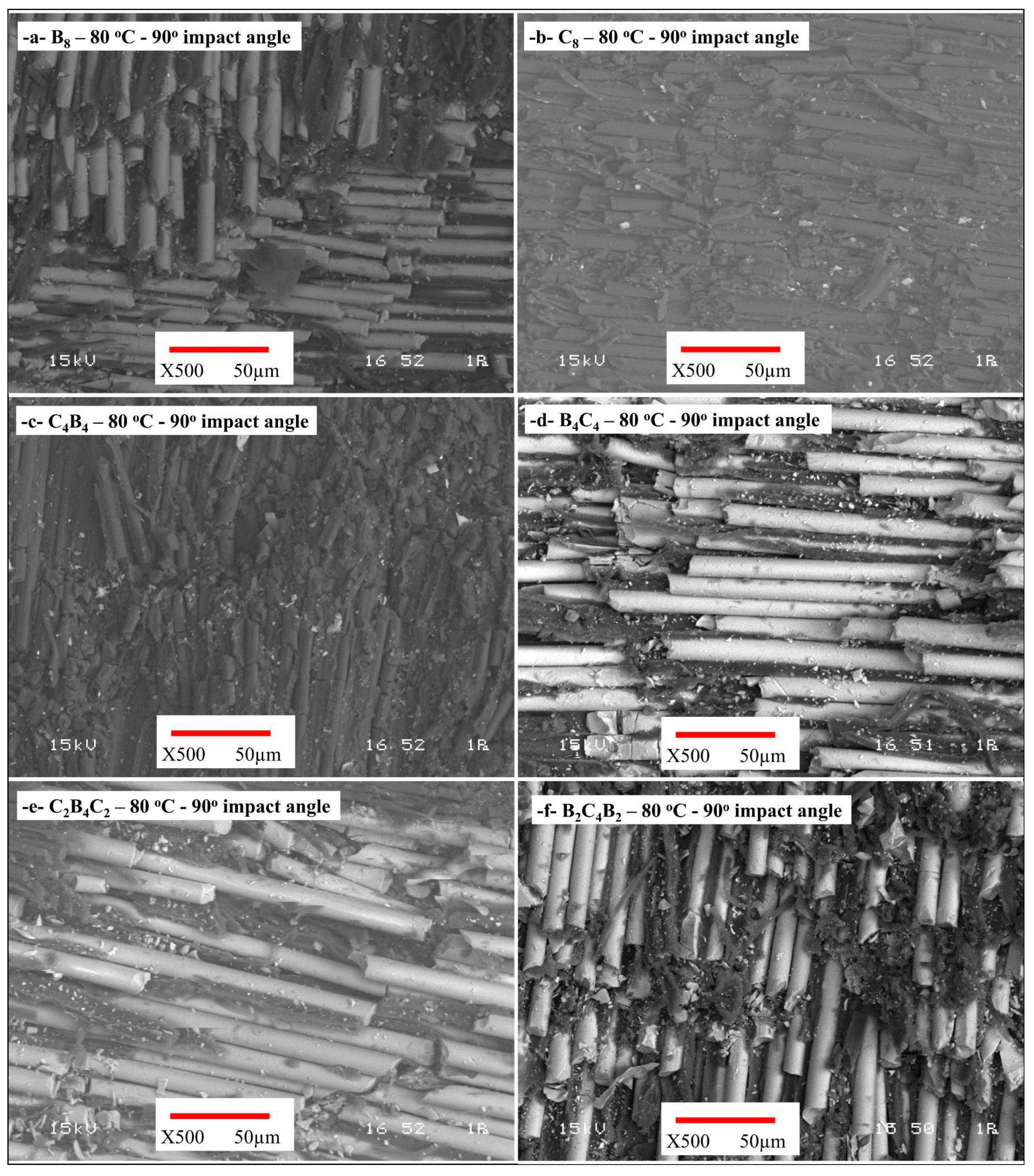Polymers 17 01349 g008