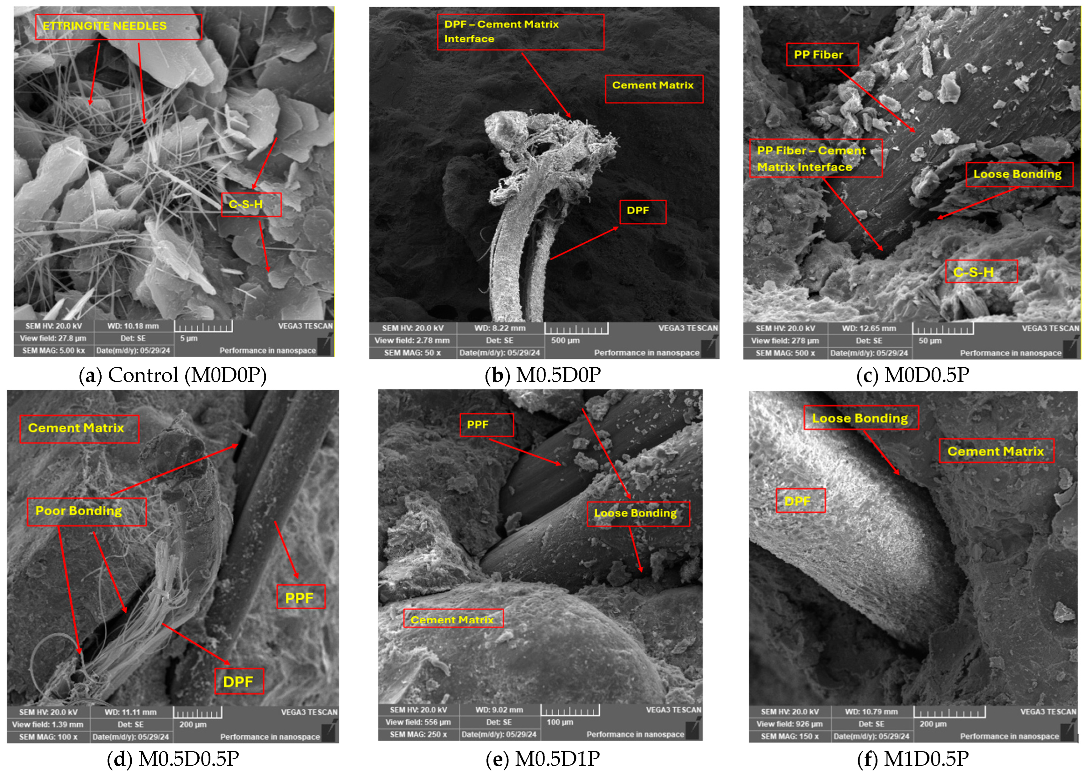 Polymers 17 01350 g012