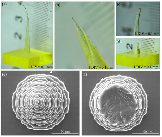 Morphology Design and Precision Control of Microneedles by