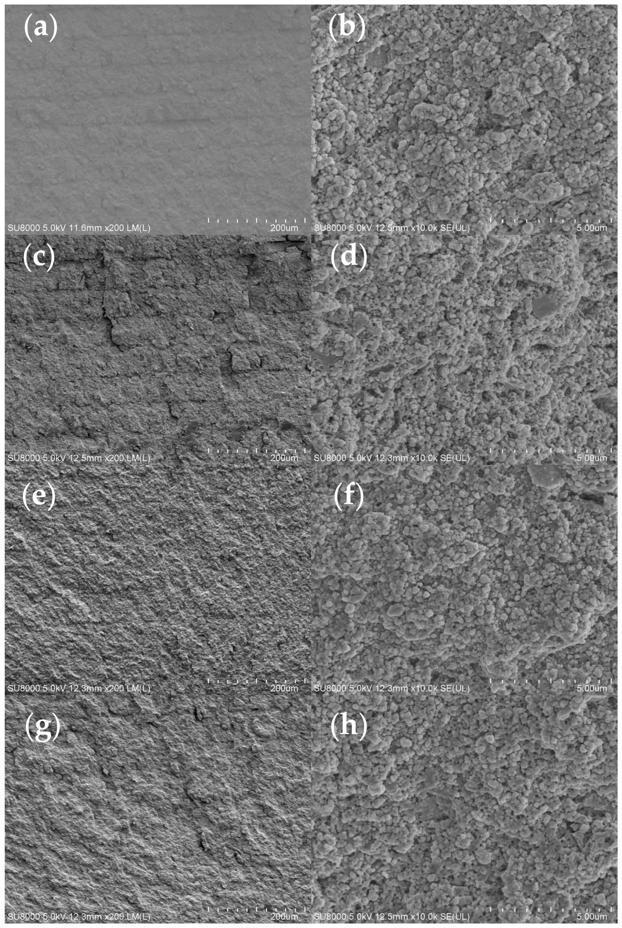 Polymers 17 01354 g007
