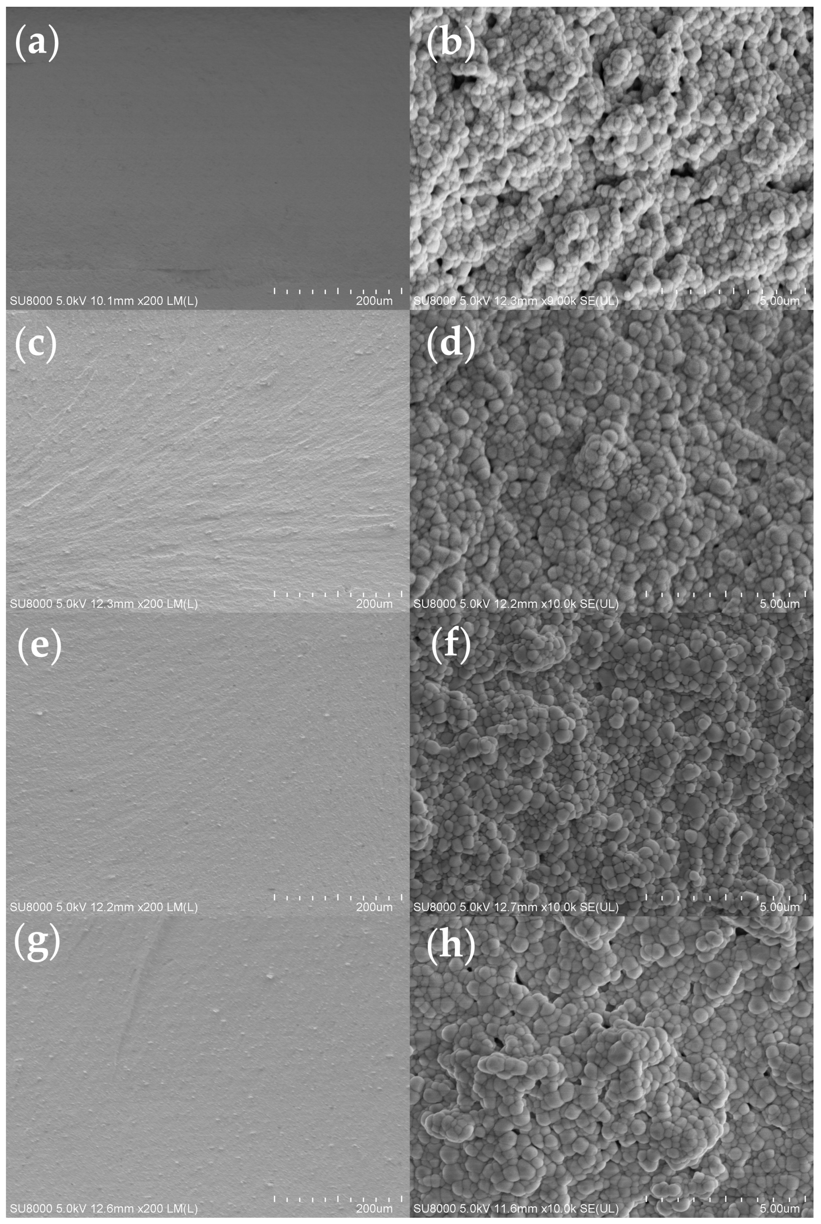 Polymers 17 01354 g009