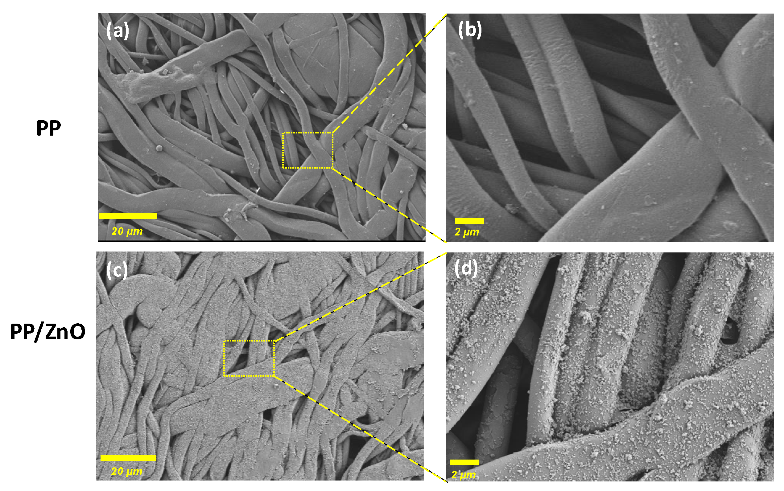 Polymers 17 01356 g002